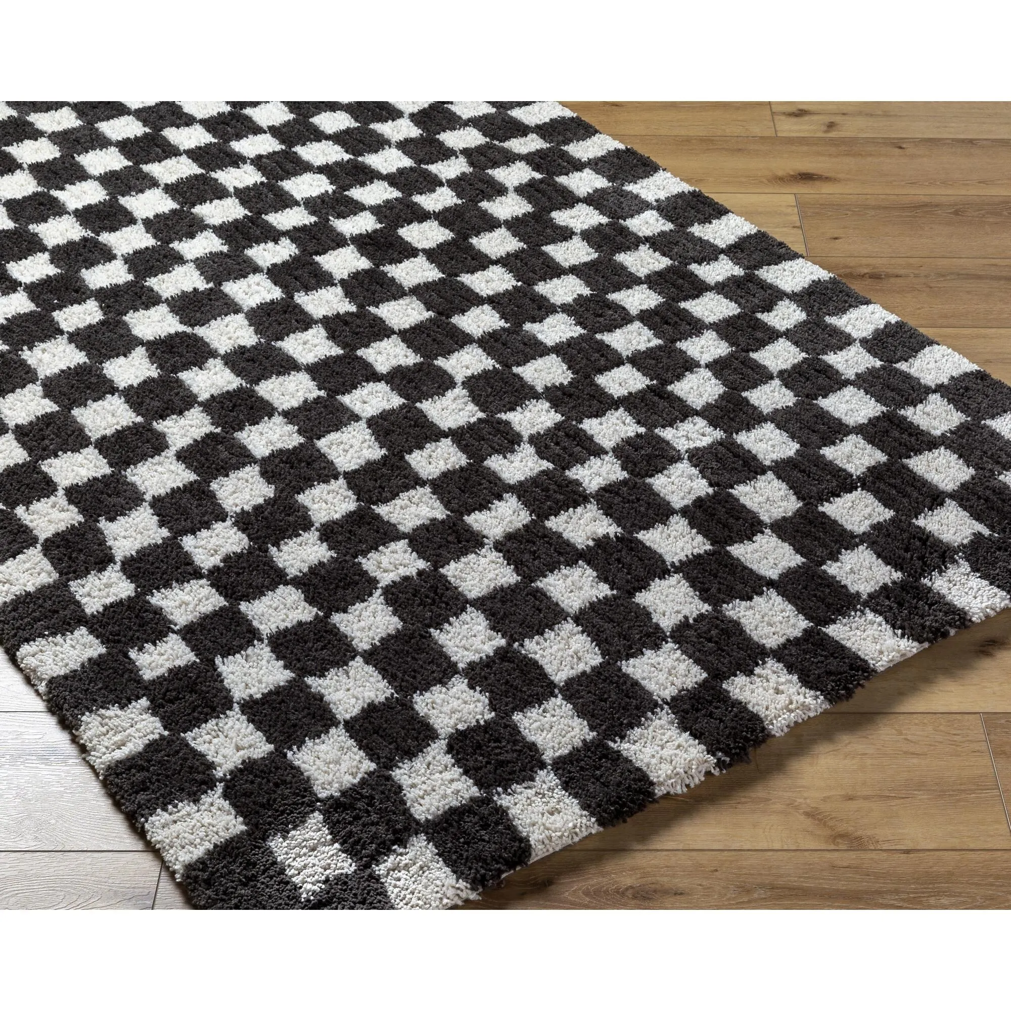 Abbey Transitional Checkered Area Rug