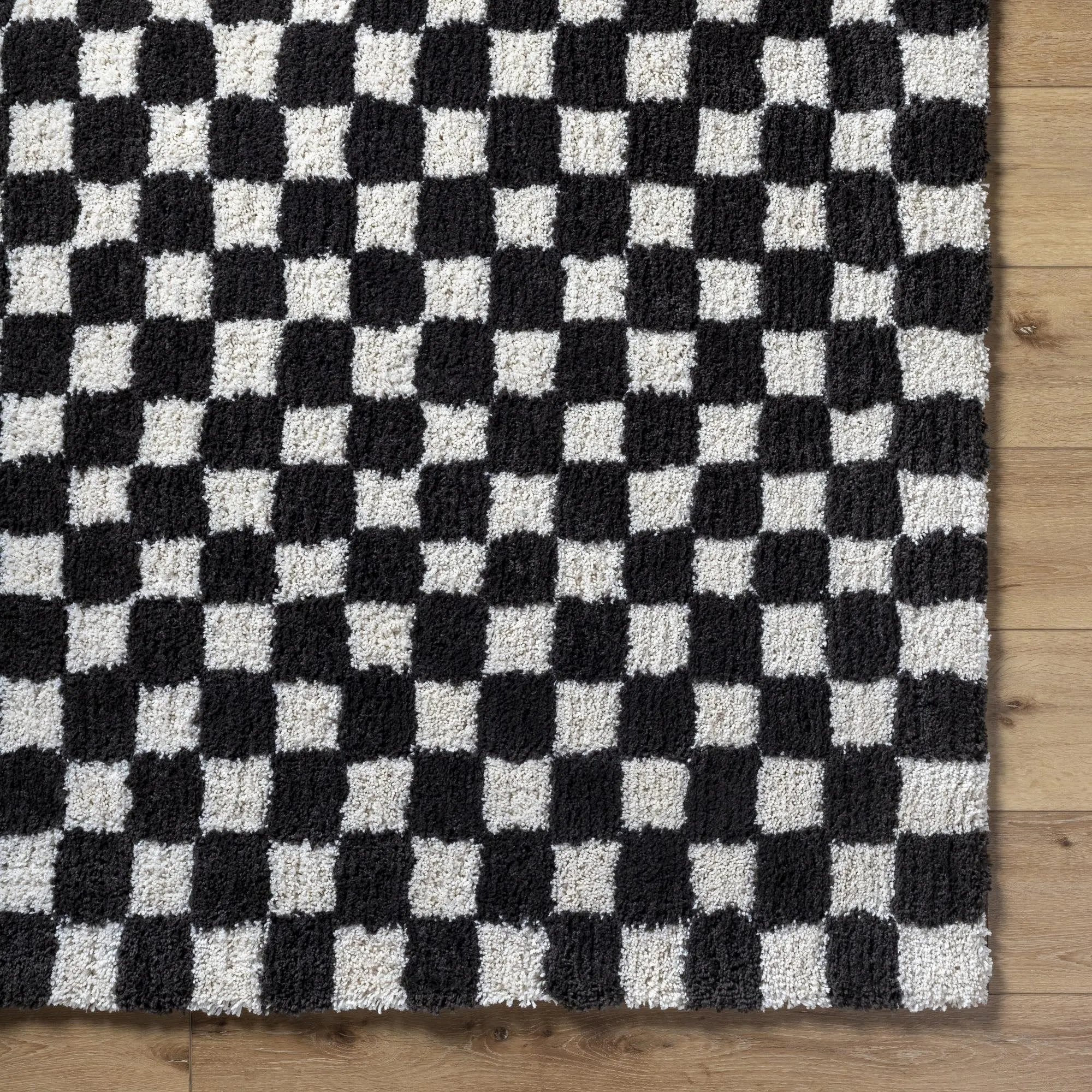Abbey Transitional Checkered Area Rug