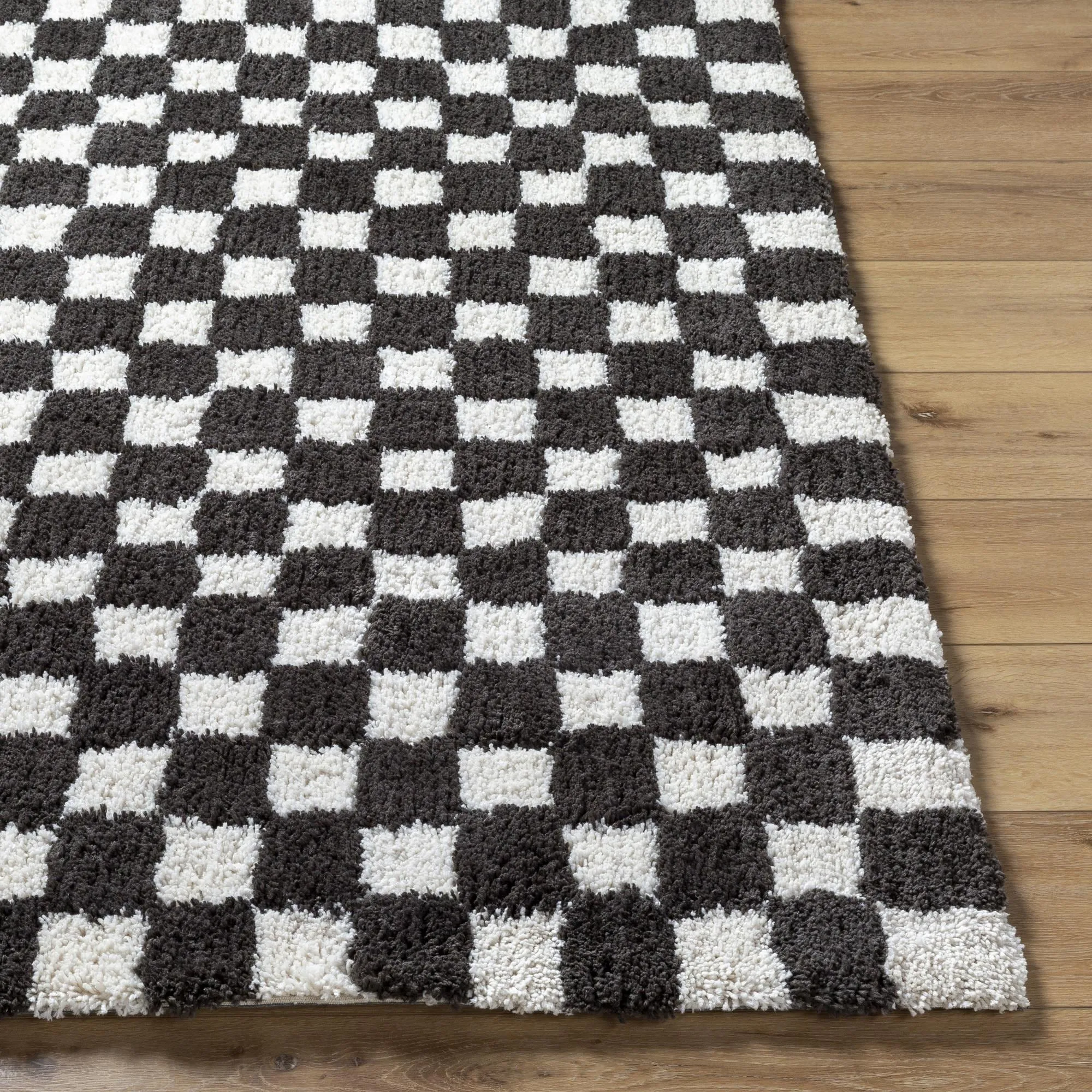 Abbey Transitional Checkered Area Rug