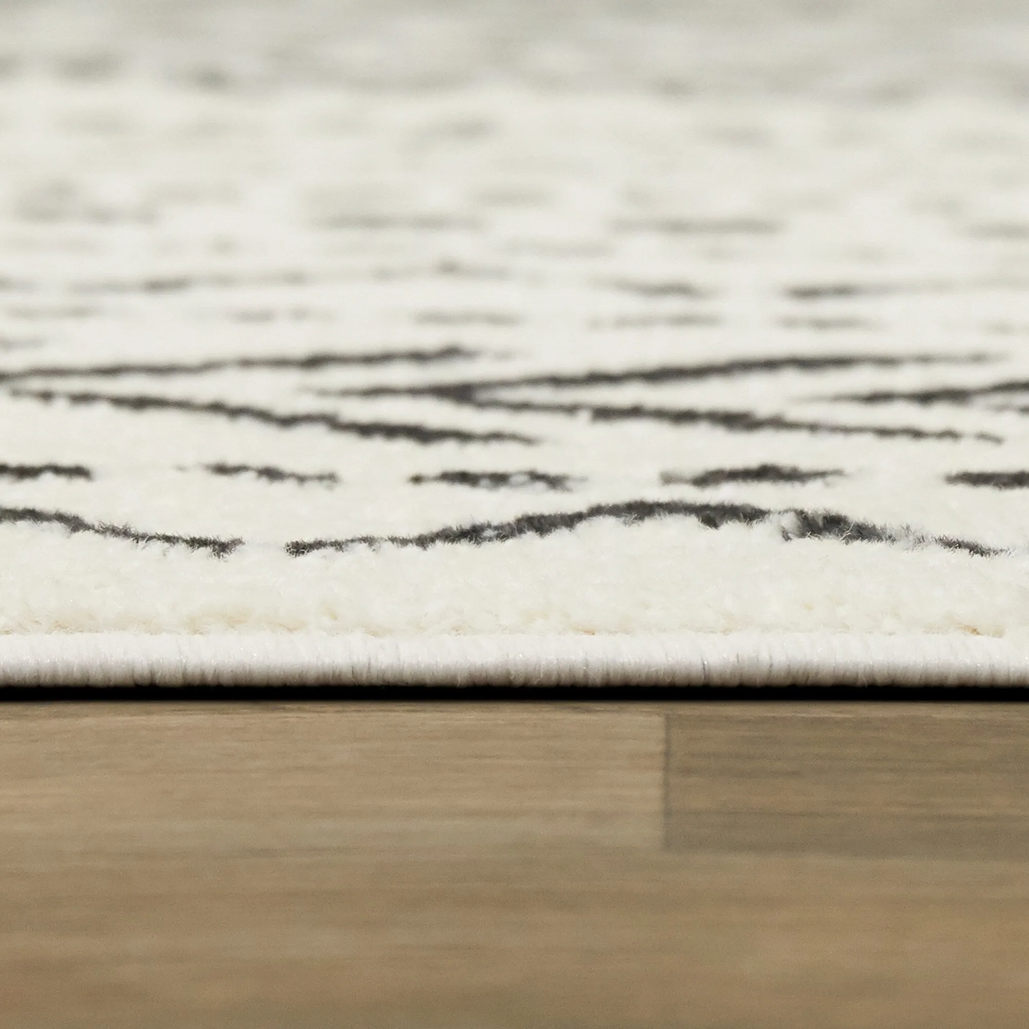 Adebayo Geometric Striped Area Rug