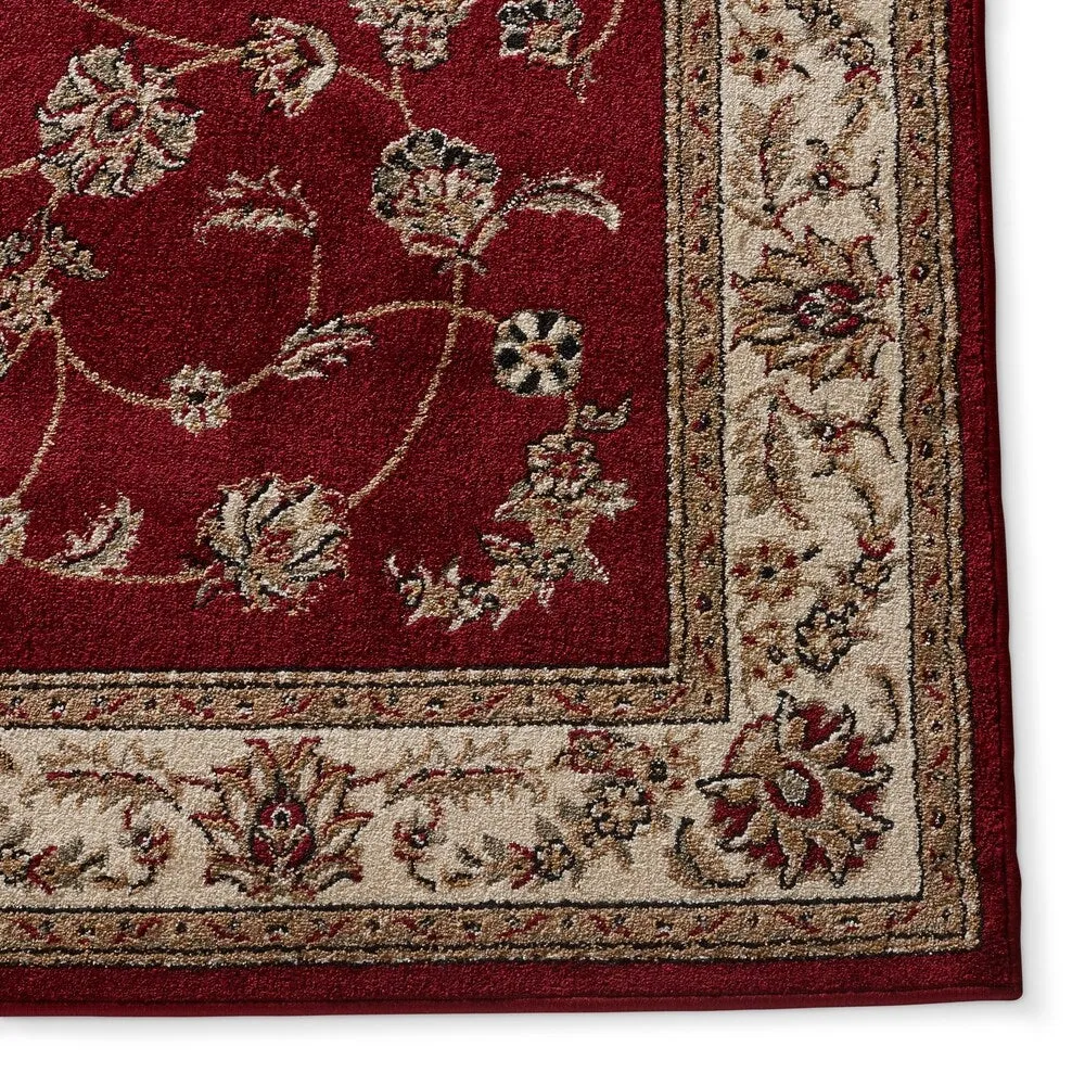 Admire Home Living Amalfi Traditional Scroll Pattern Area Rug