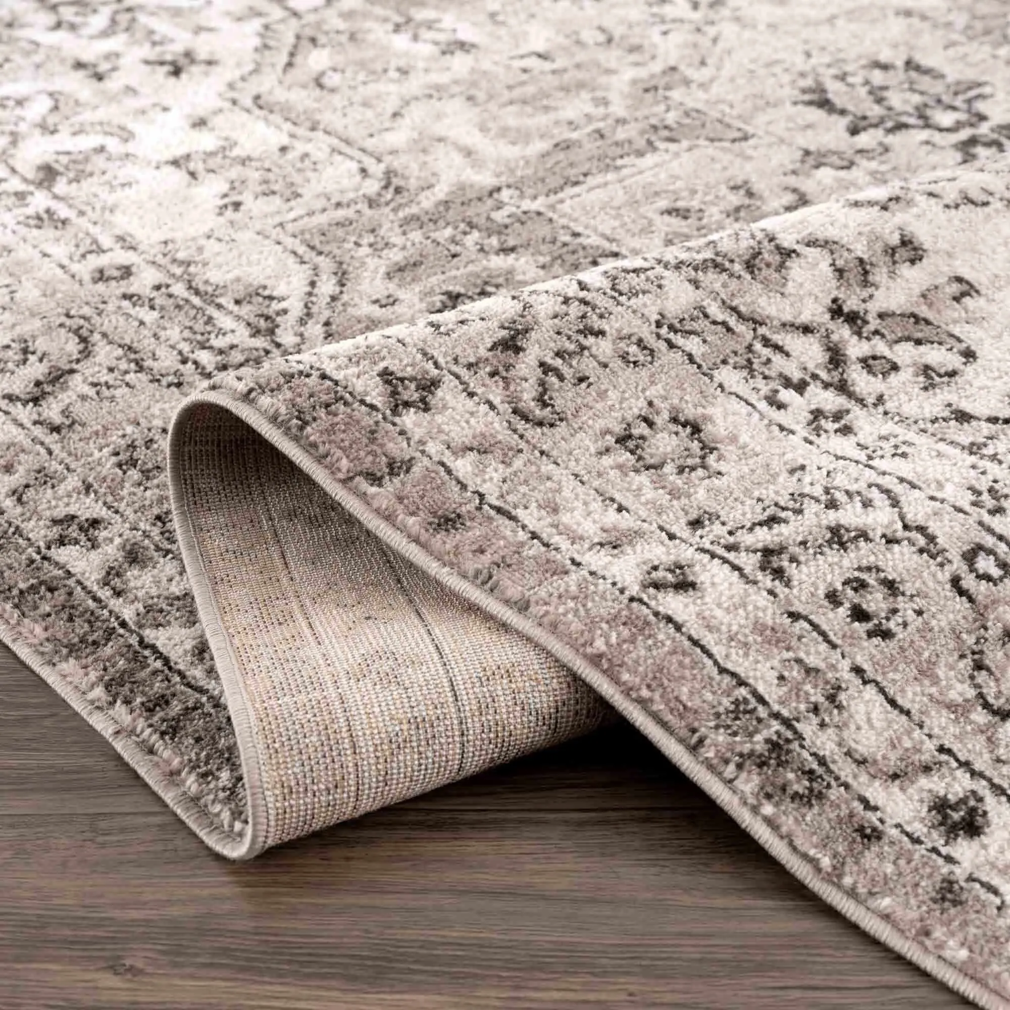 Albie Oriental Persian Medallion Area Rug