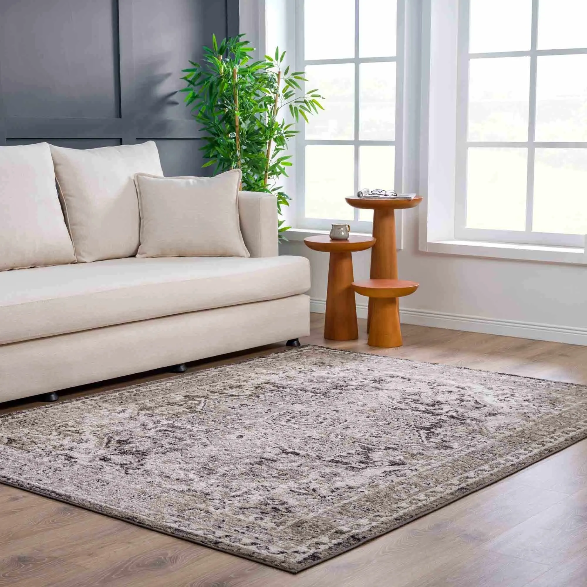 Albie Oriental Persian Medallion Area Rug
