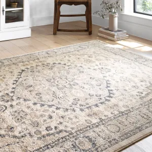 Alexander Home Josefina Floral & Medallion Traditional Area Rug