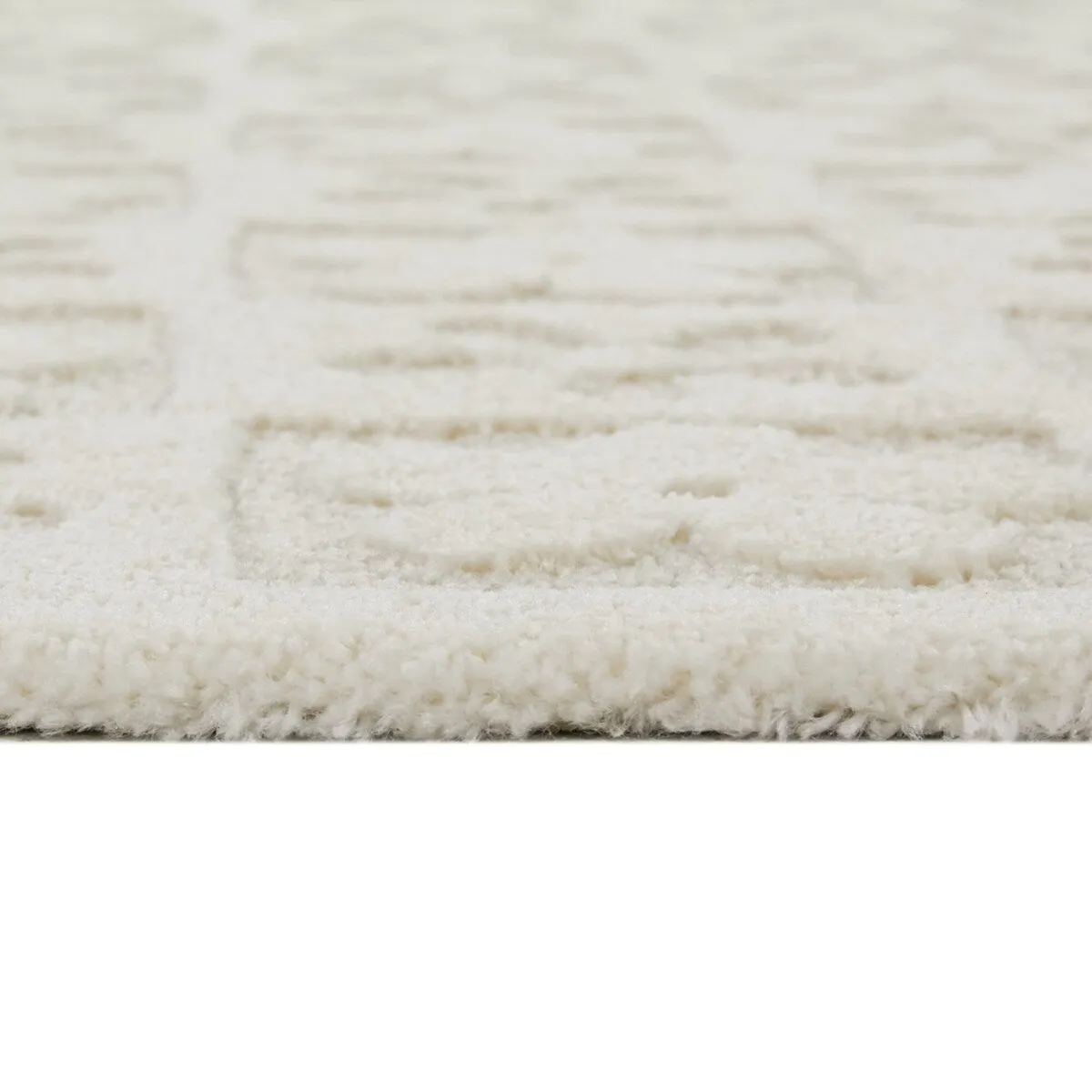 Alyson Modern Floral Area Rug