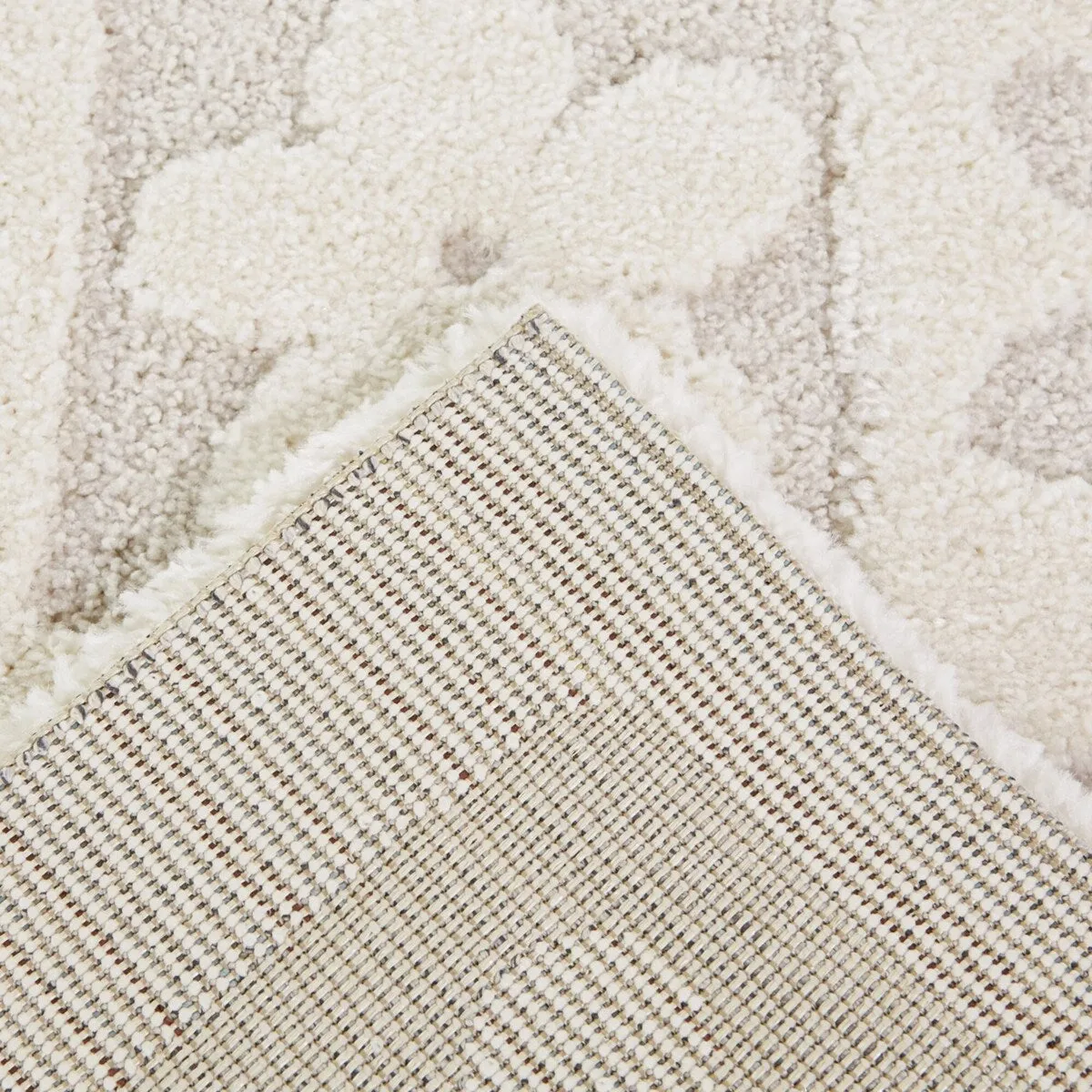 Alyson Modern Floral Area Rug