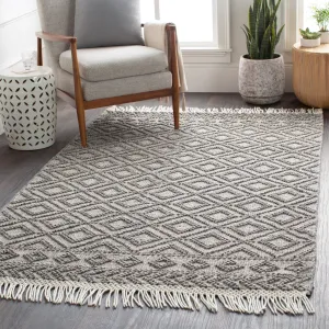 Artistic Weavers Janvier Heathered Modern Rustic Wool Area Rug