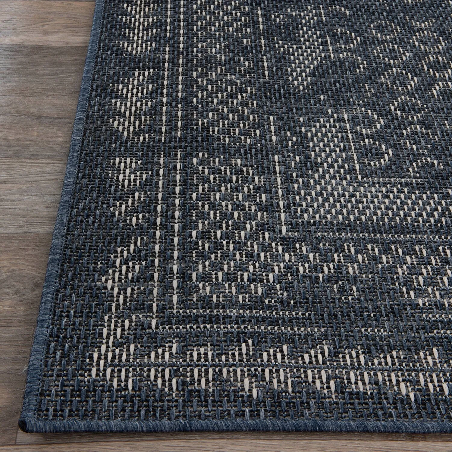 Bohemian Border Indoor/Outdoor Area Rug