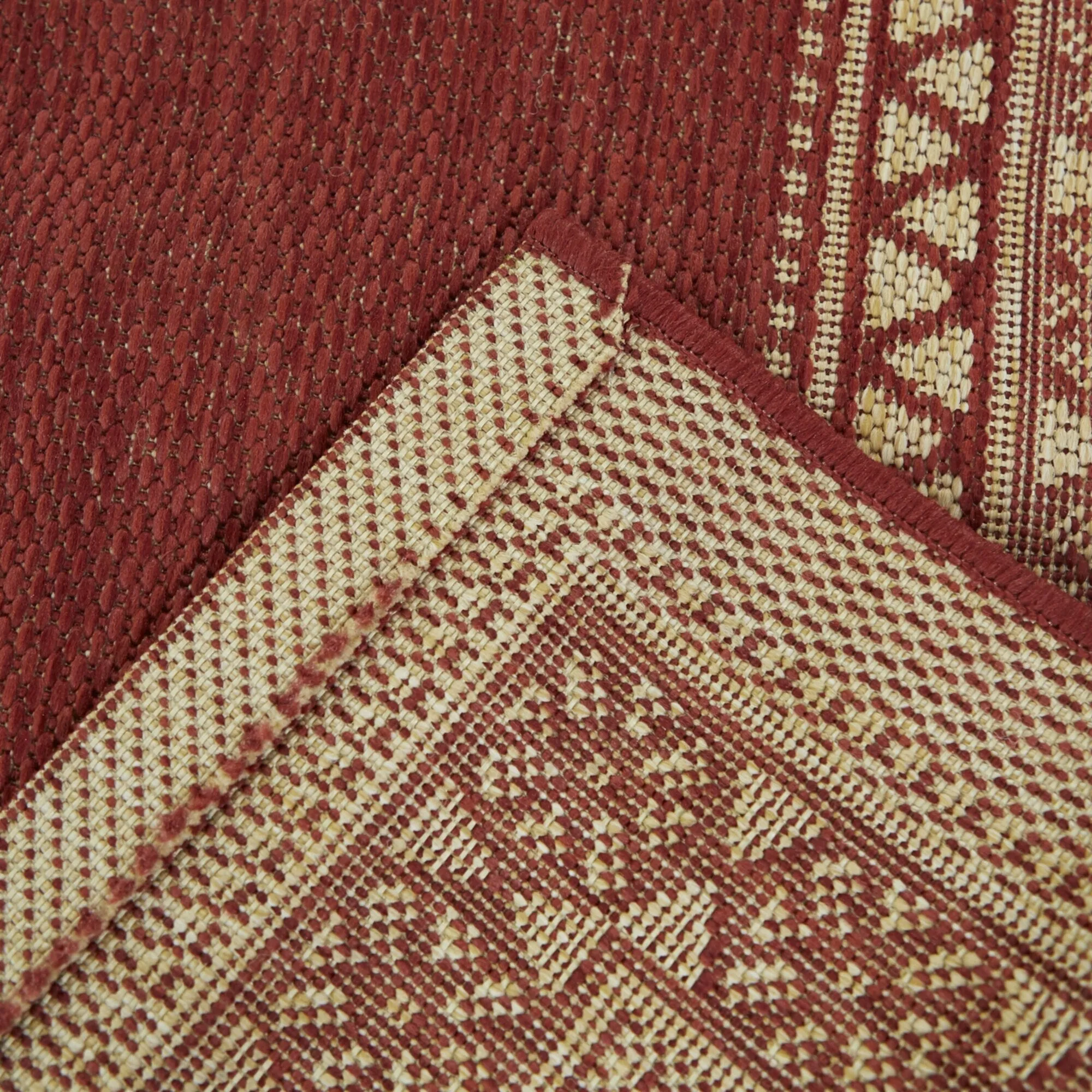 Carew Transitional Border Indoor/Outdoor Area Rug