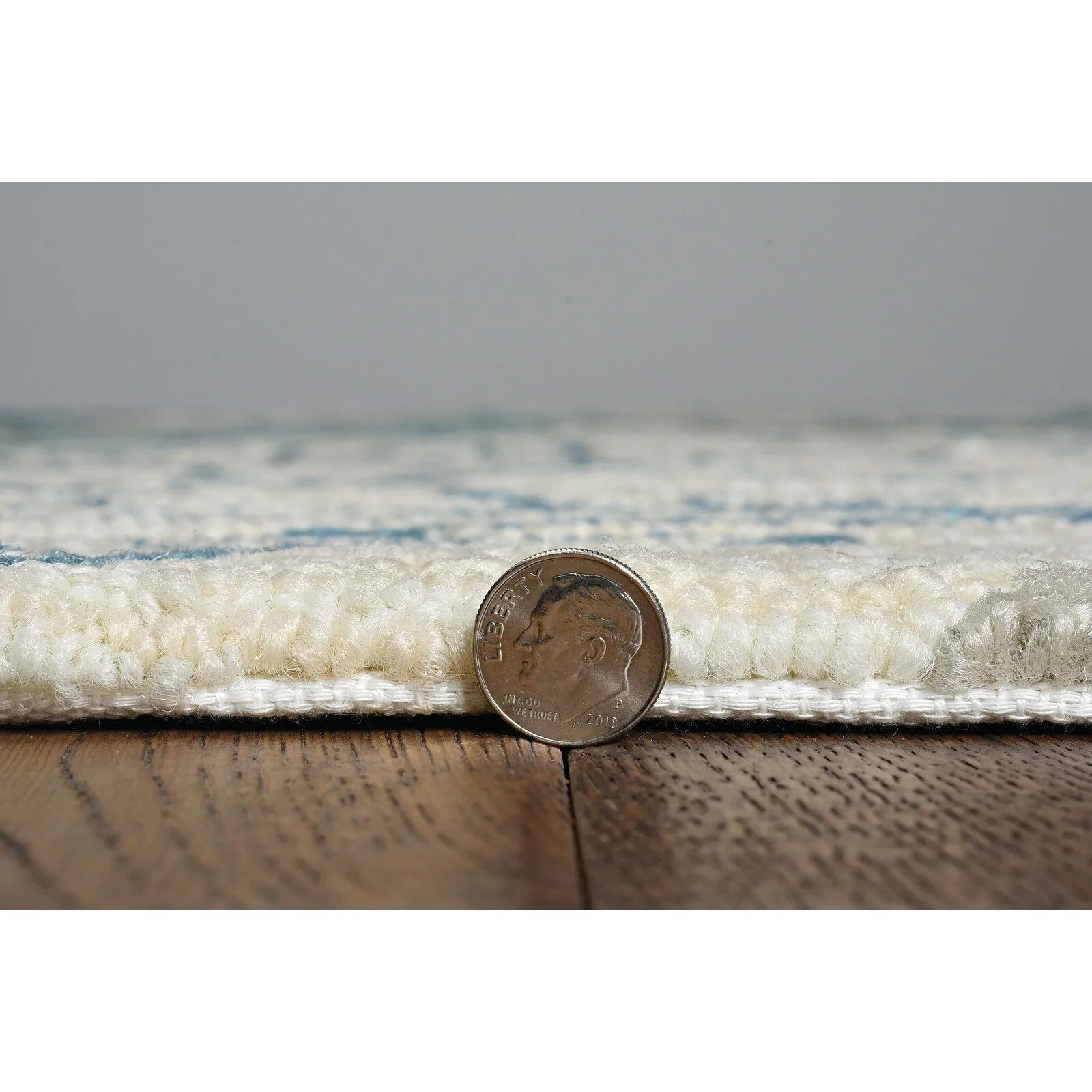 Domani Havanna Botanical Outdoor Area Rug