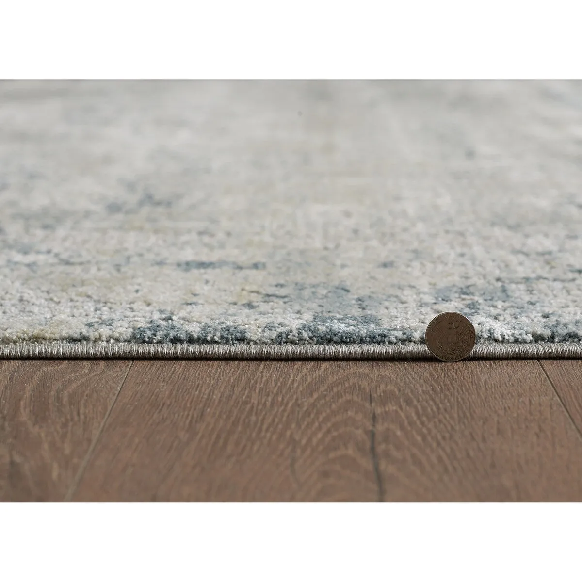 Domani Saige Abstract Medallion Area Rug