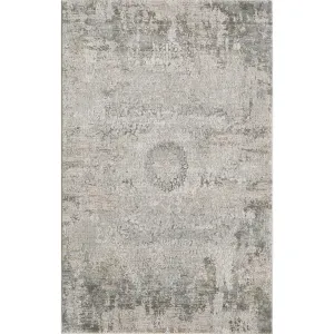 Domani Saige Distressed Moroccan Area Rug
