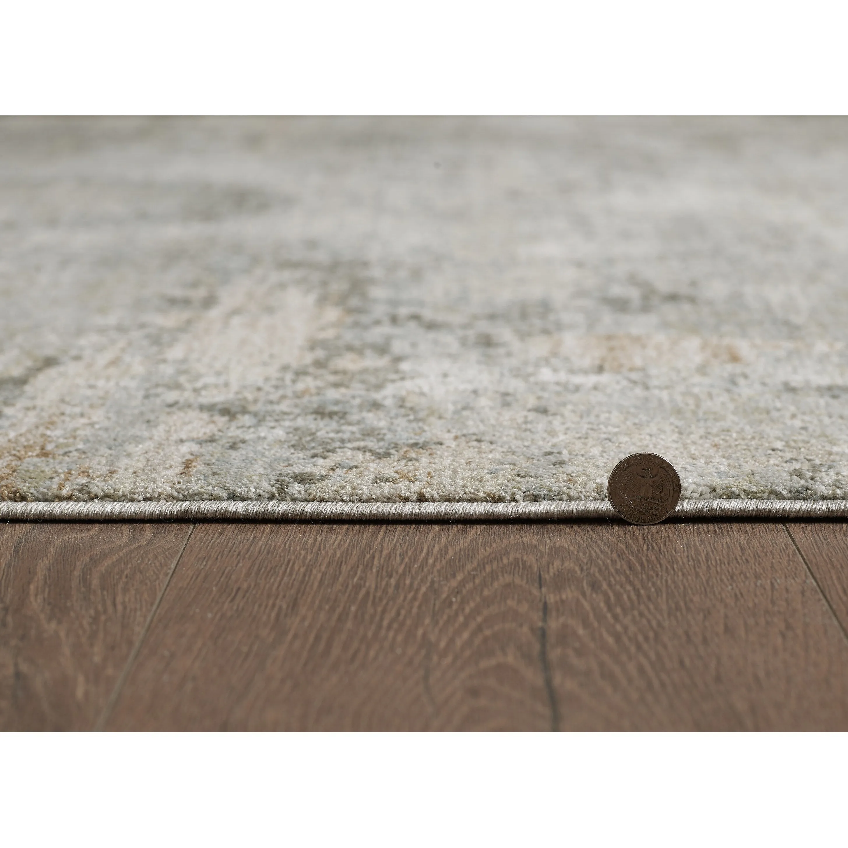 Domani Saige Distressed Moroccan Area Rug