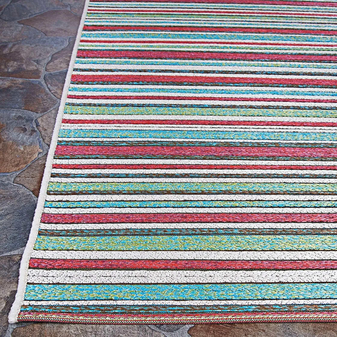Dream Decor Rugs Vector Mendocino Indoor Outdoor Area Rug