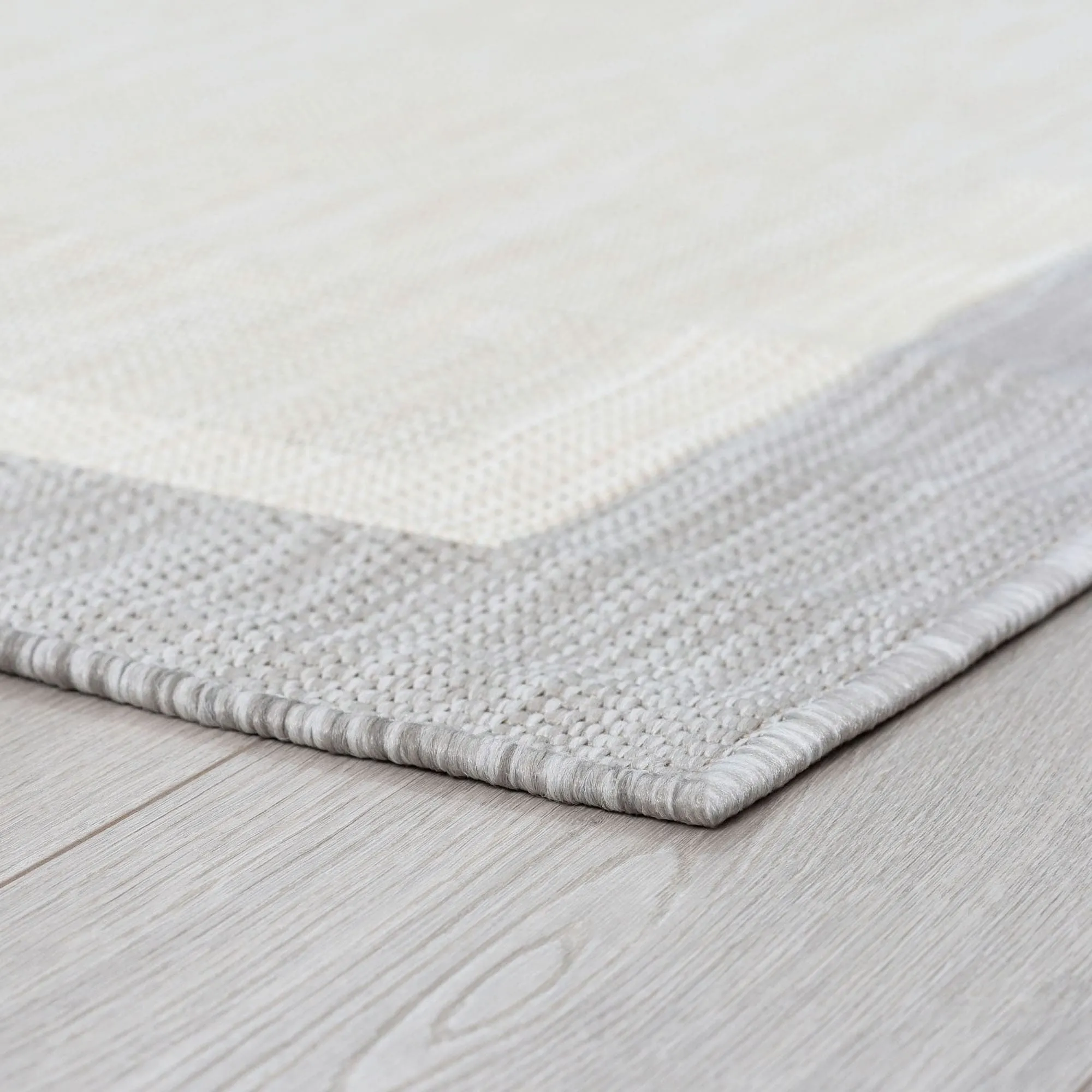 Exo Coastal Border Indoor/Outdoor Area Rug