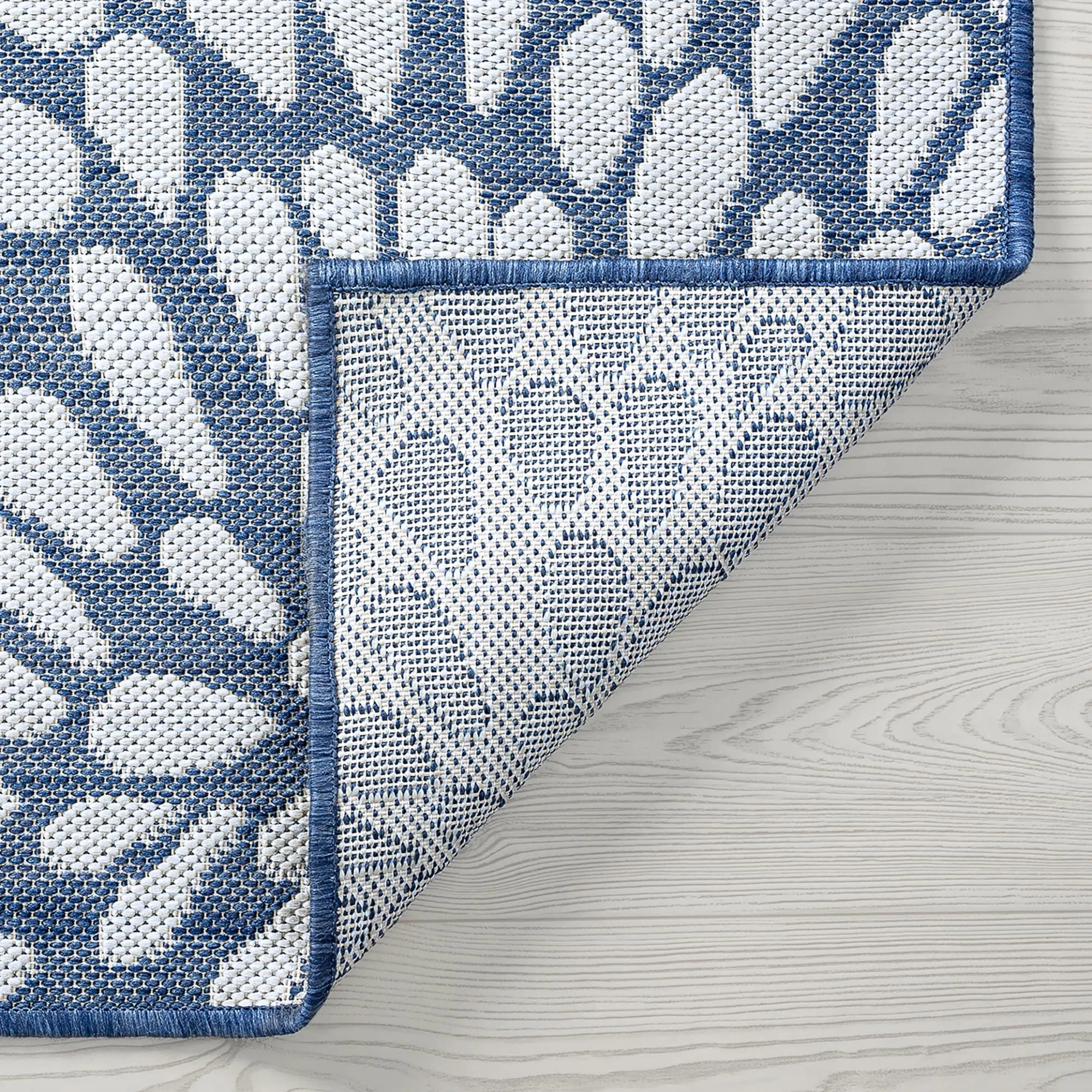 Exo Coastal Floral Indoor/Outdoor Area Rug
