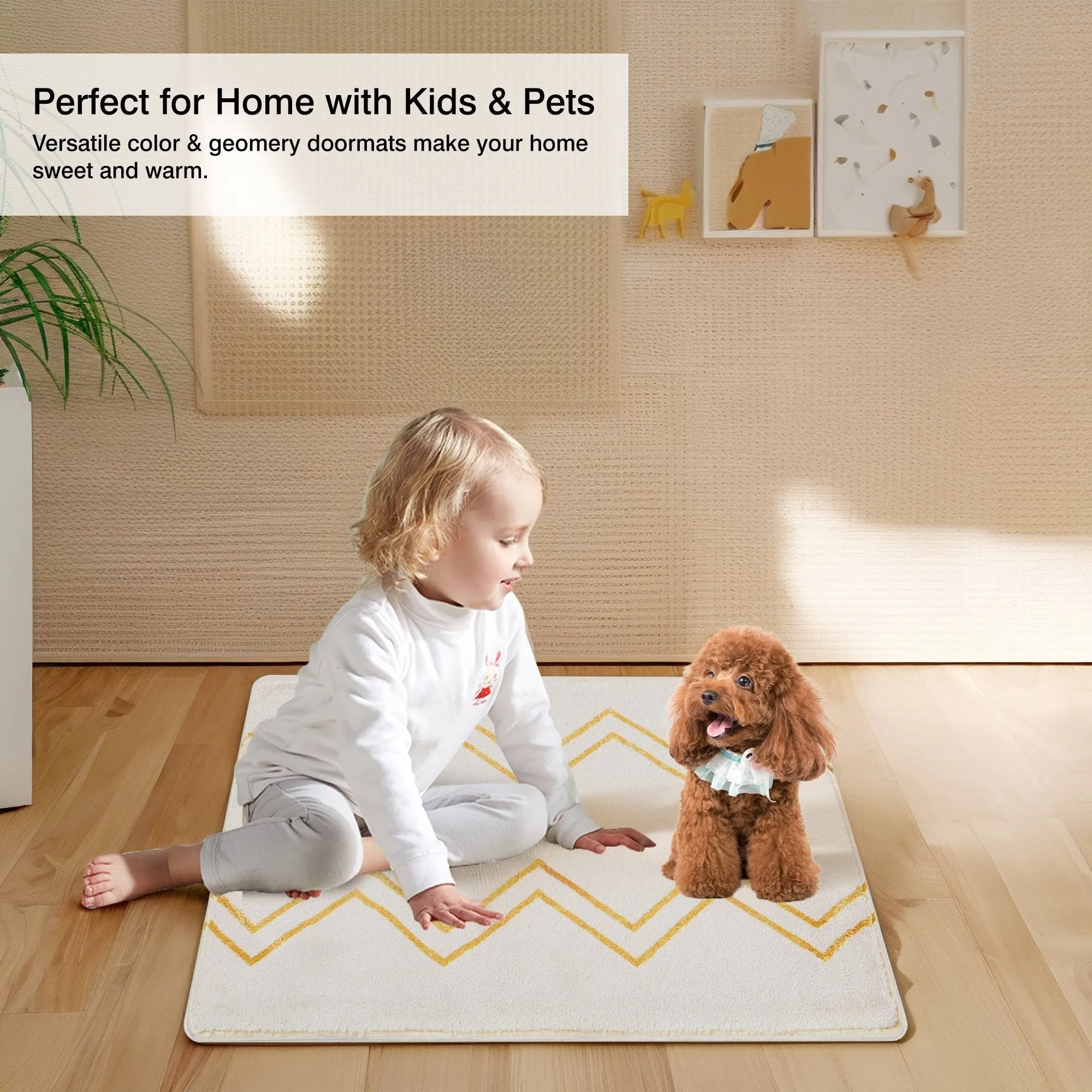 Front Door Mat Entry Doormat Non Slip Thin Washable Inside Entryway Mats for Home Entrance - 16.9 W x 28.7 L