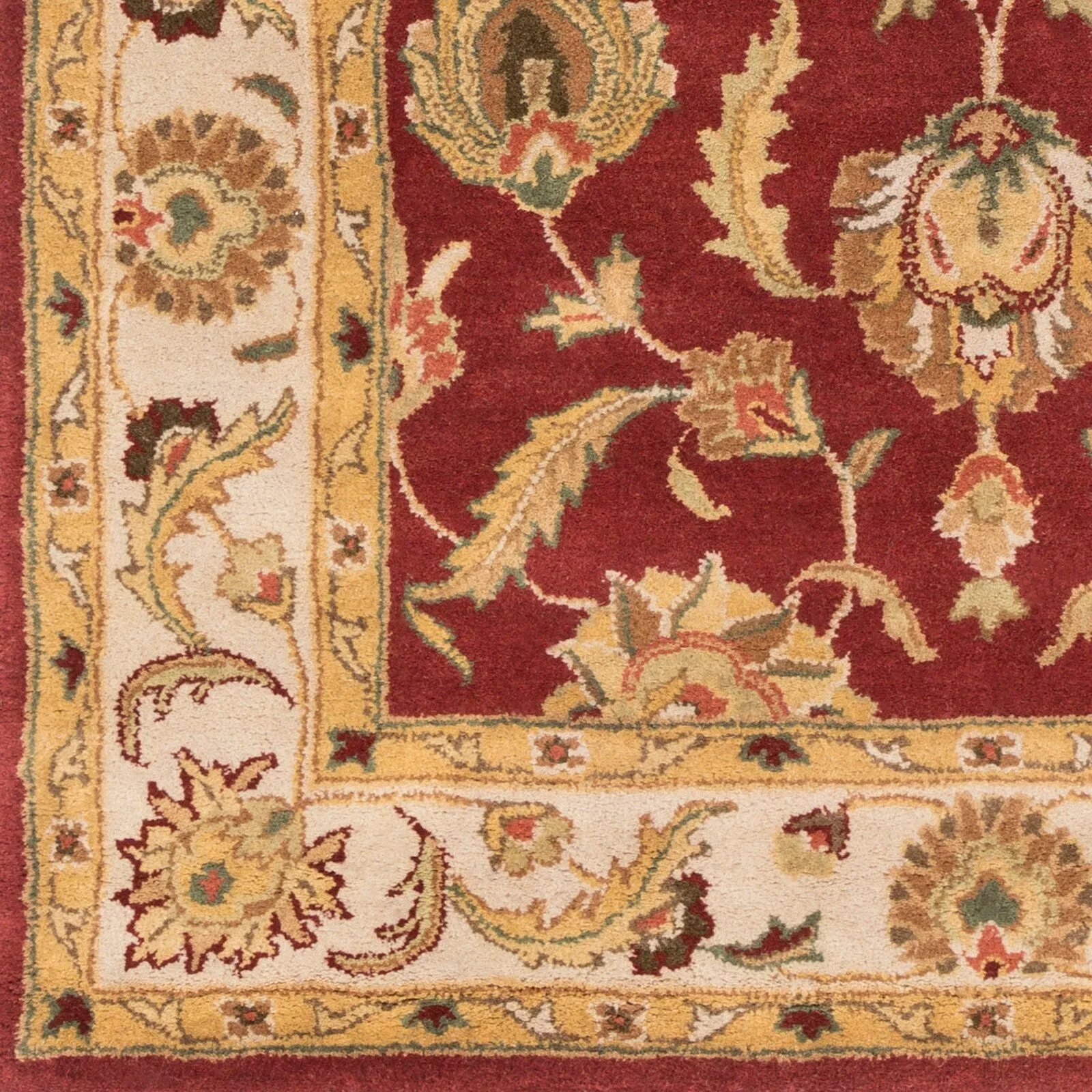 Hand-Tufted Nikki Bordered Traditional Wool Rug