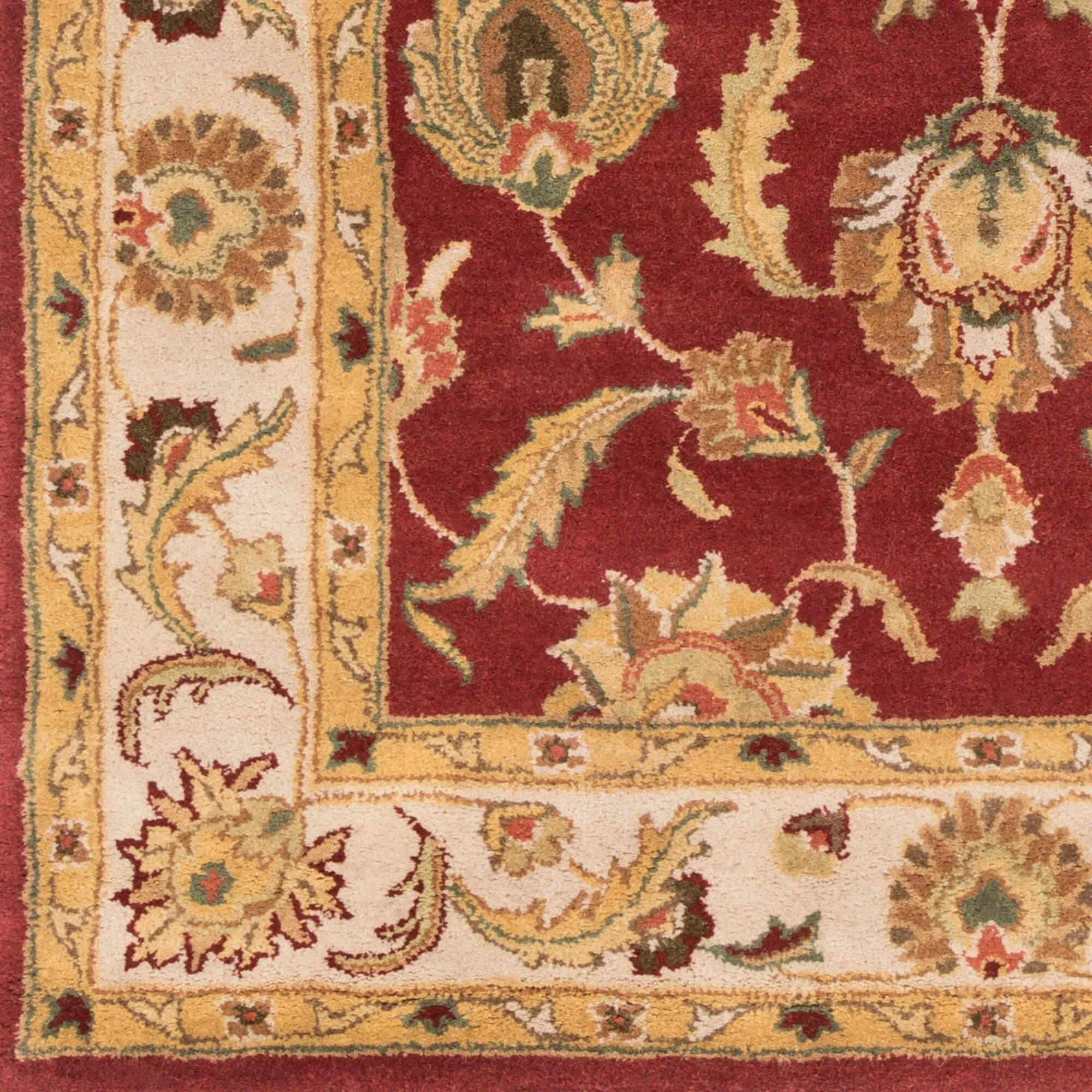 Hand-Tufted Nikki Bordered Traditional Wool Rug
