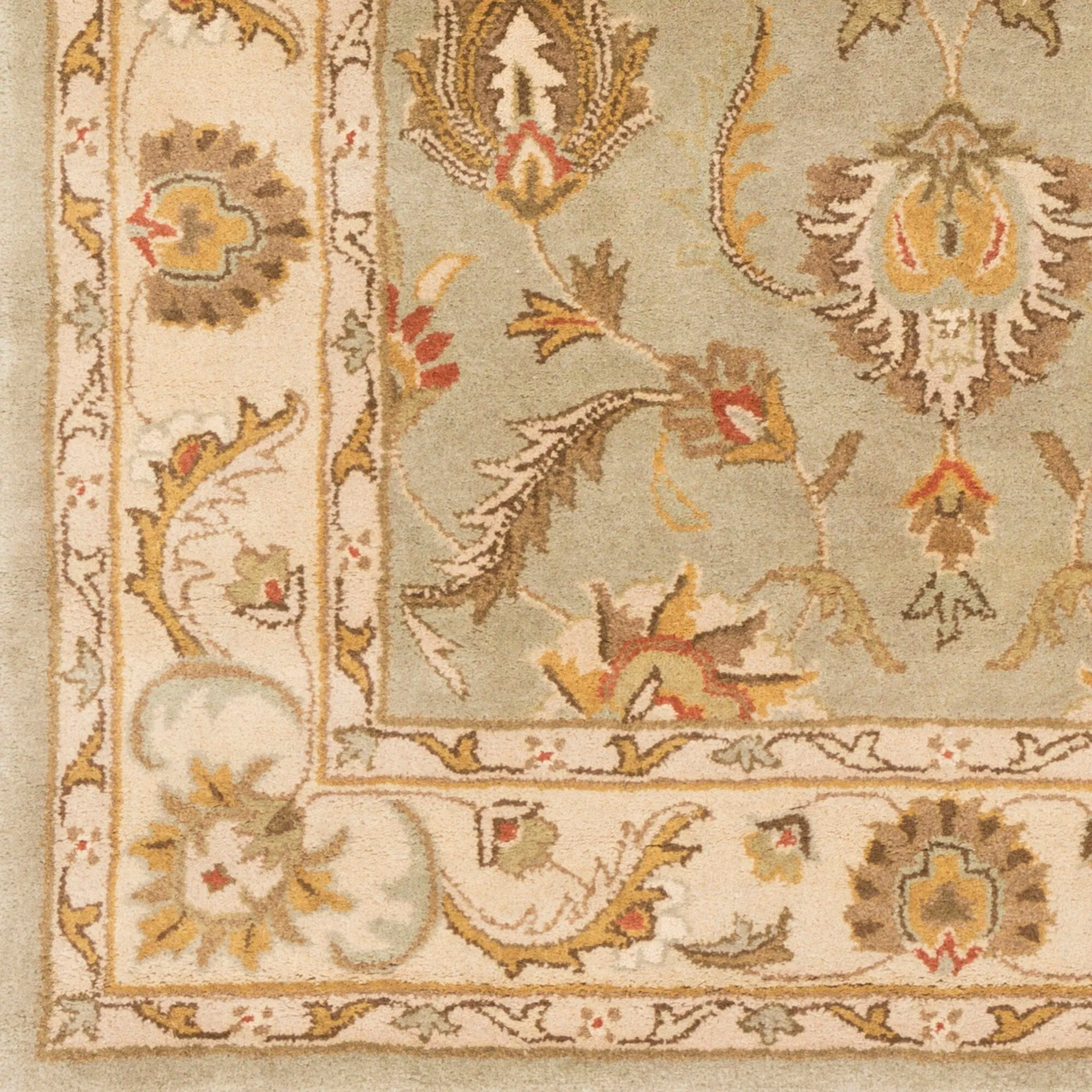 Hand-Tufted Nikki Bordered Traditional Wool Rug