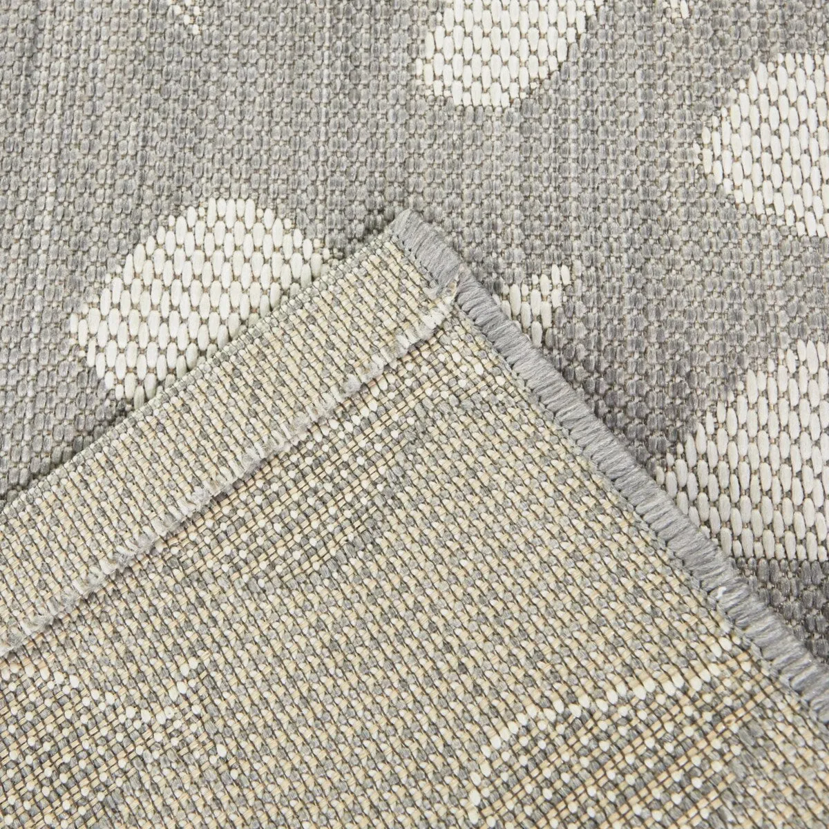 Holbrook Coastal Fish Indoor/Outdoor Area Rug