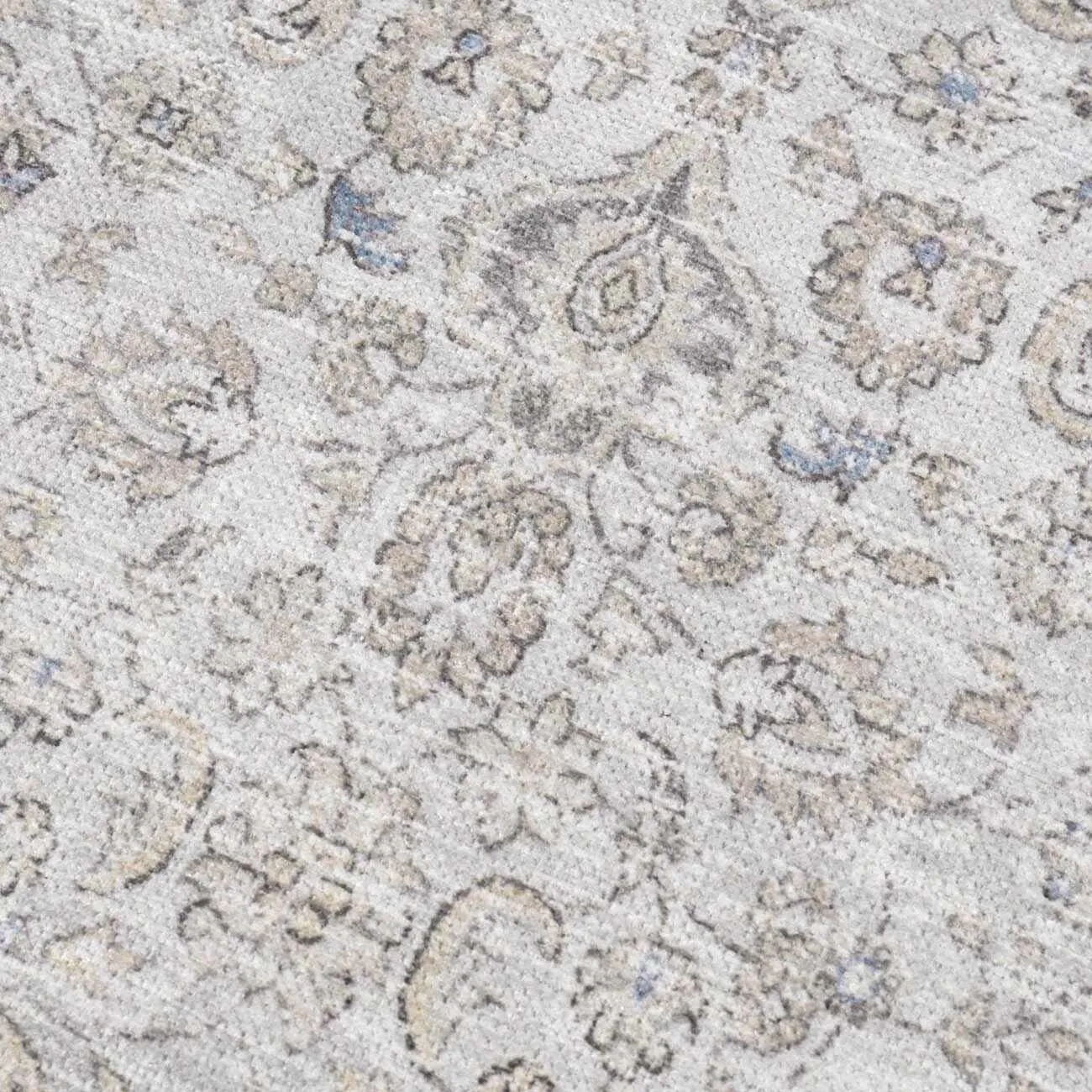 HOLI Area Rug