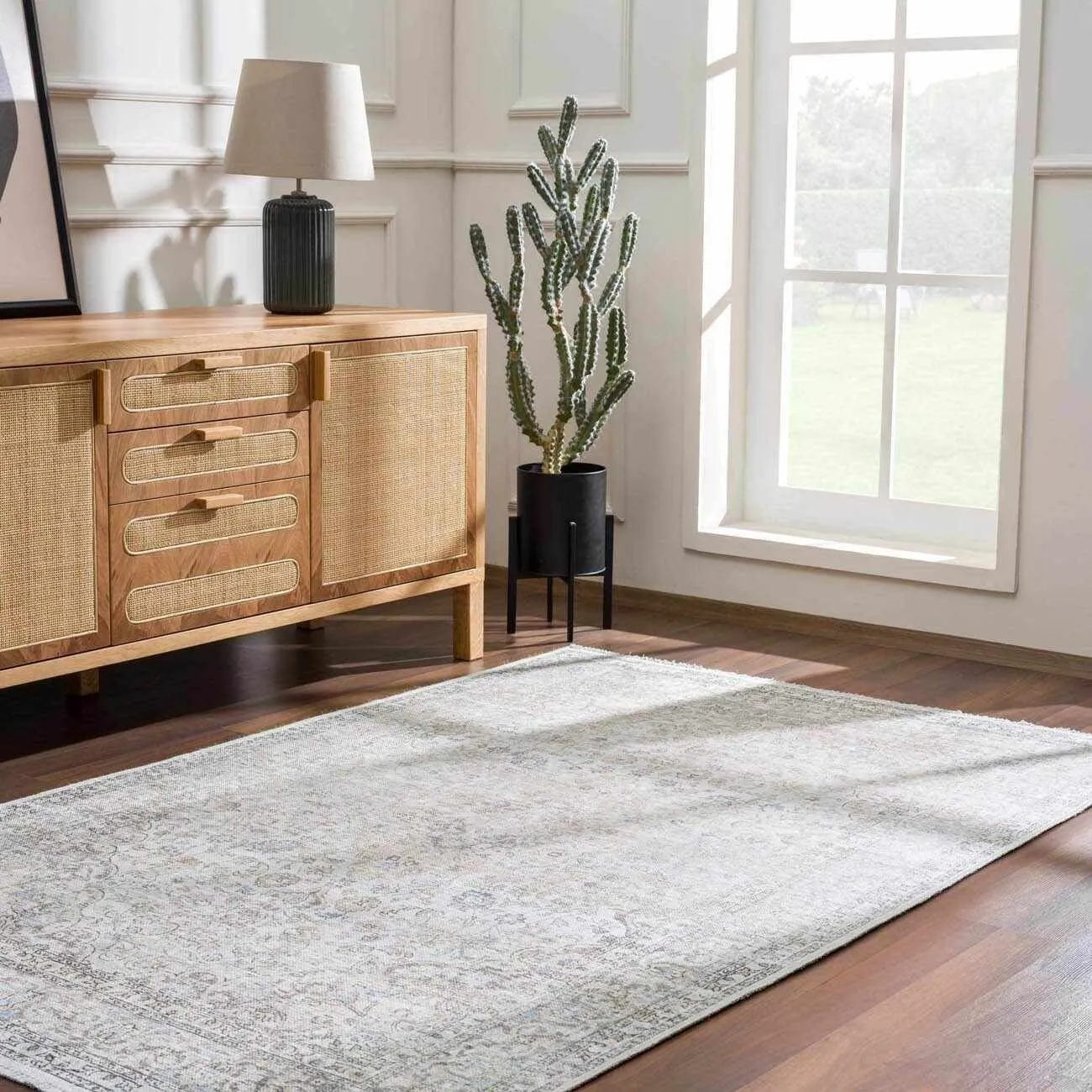 HOLI Area Rug