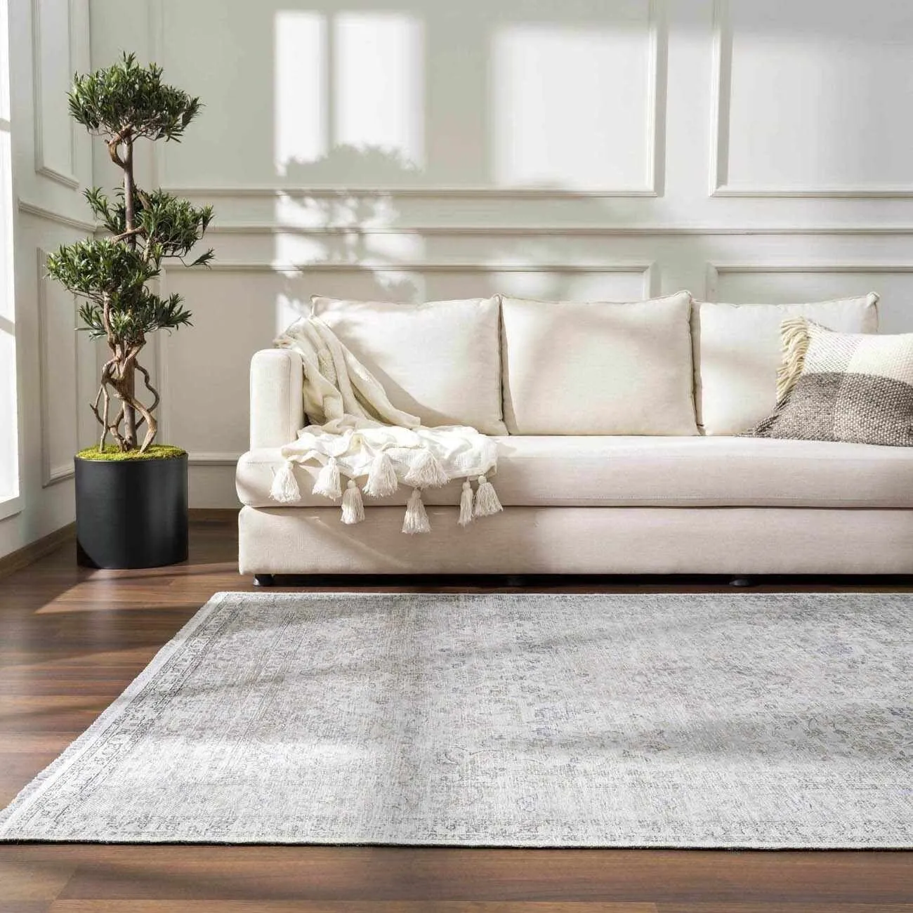 HOLI Area Rug
