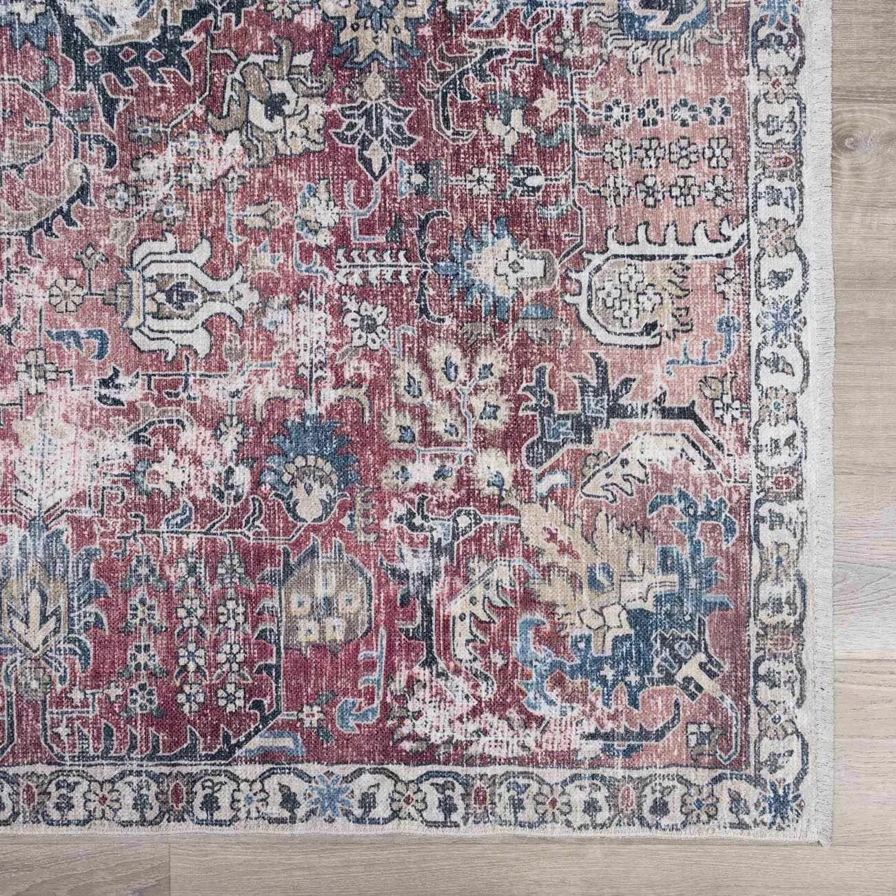 HOLI Area Rug