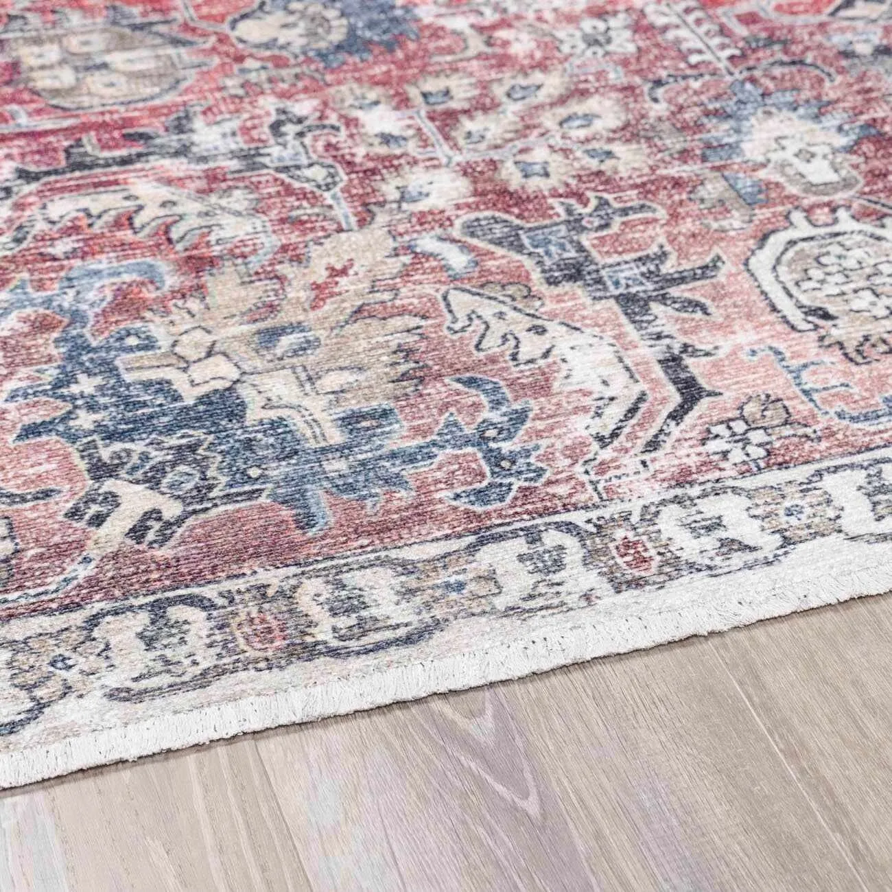 HOLI Area Rug