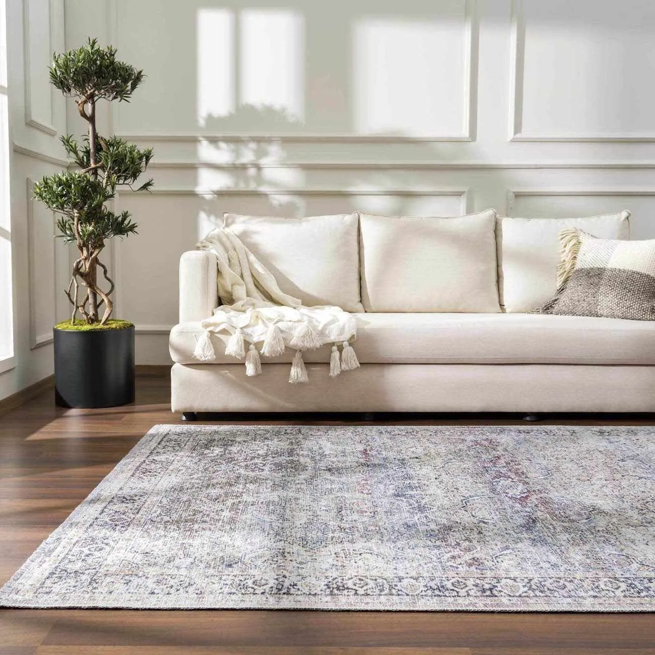 HOLI Area Rug