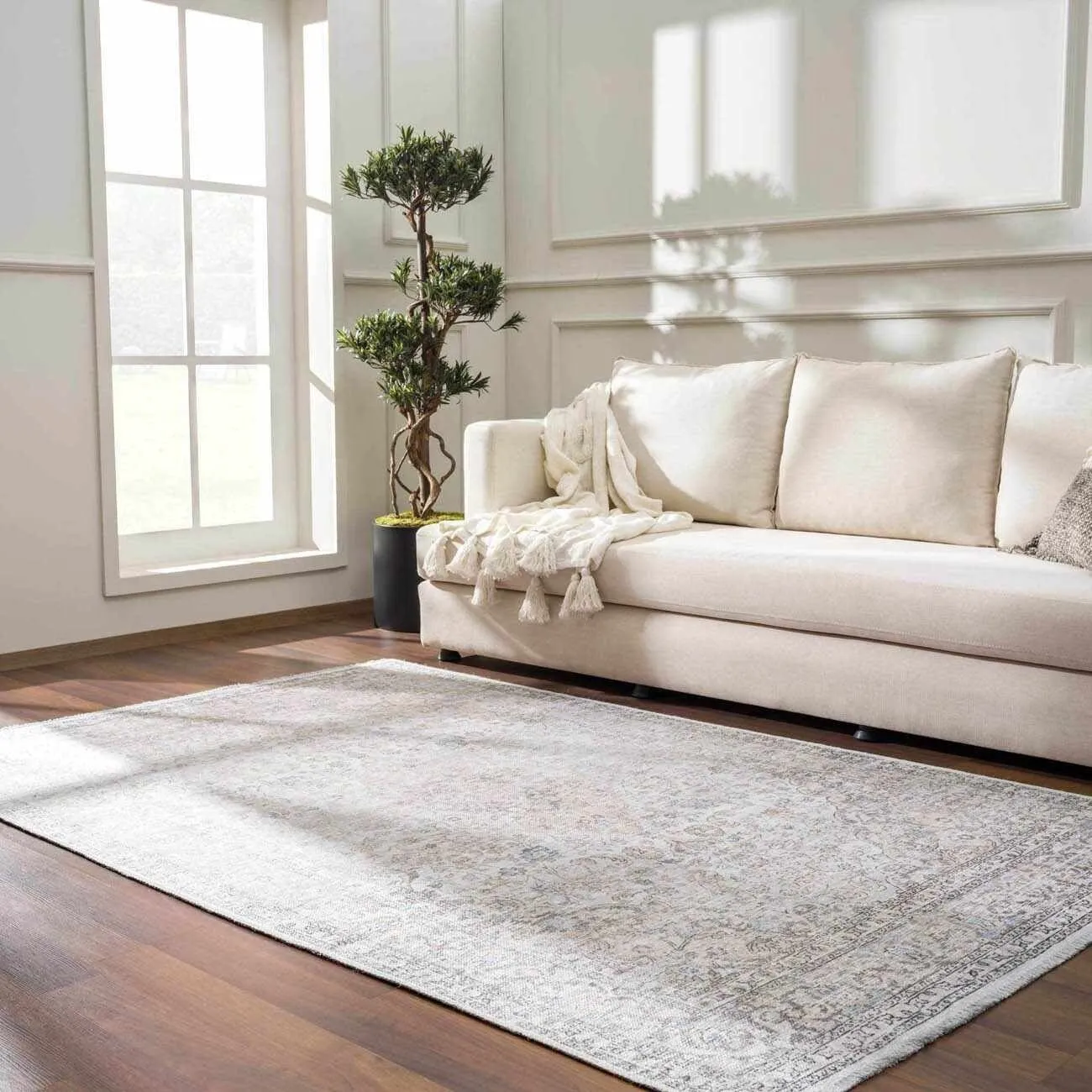 HOLI Area Rug