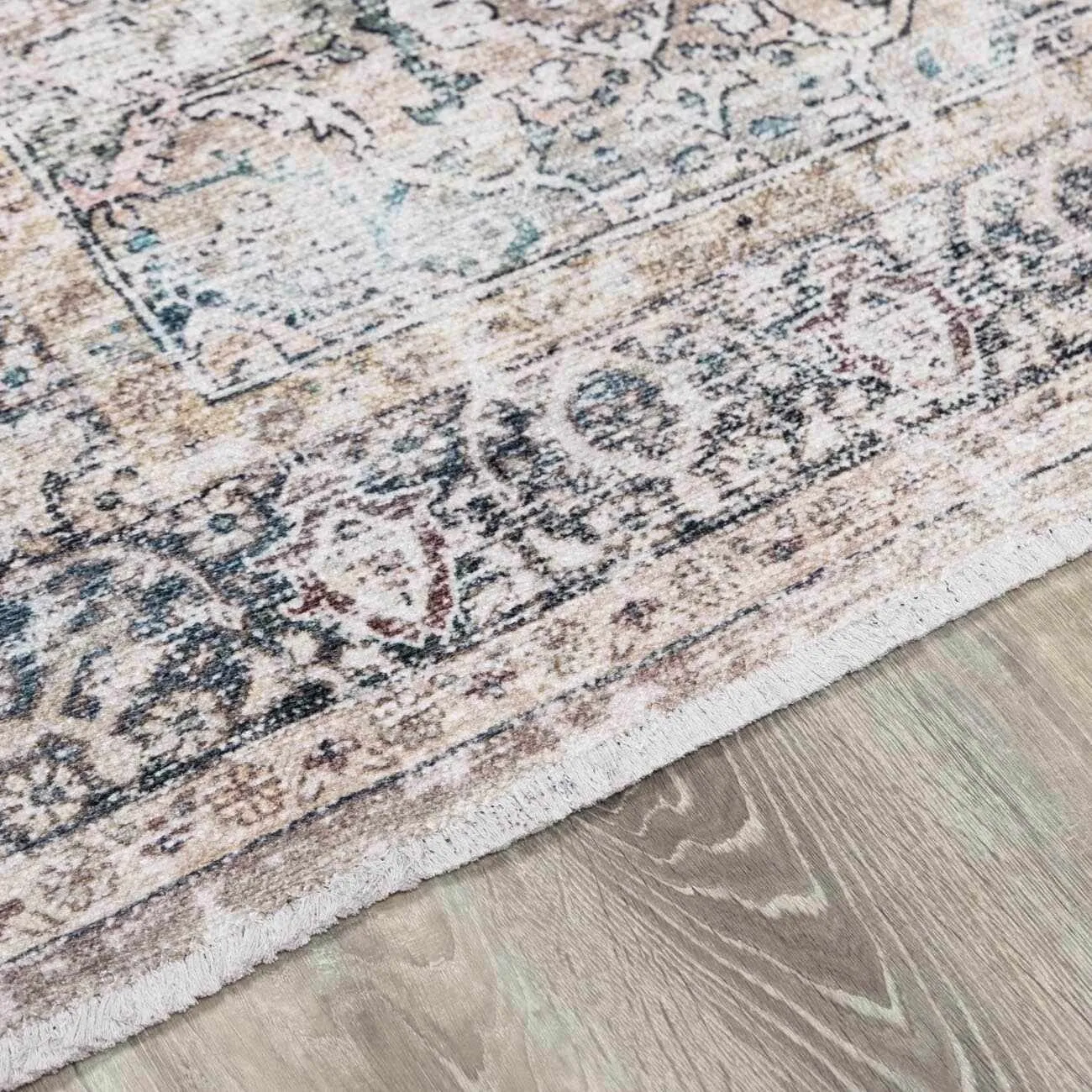 HOLI Area Rug