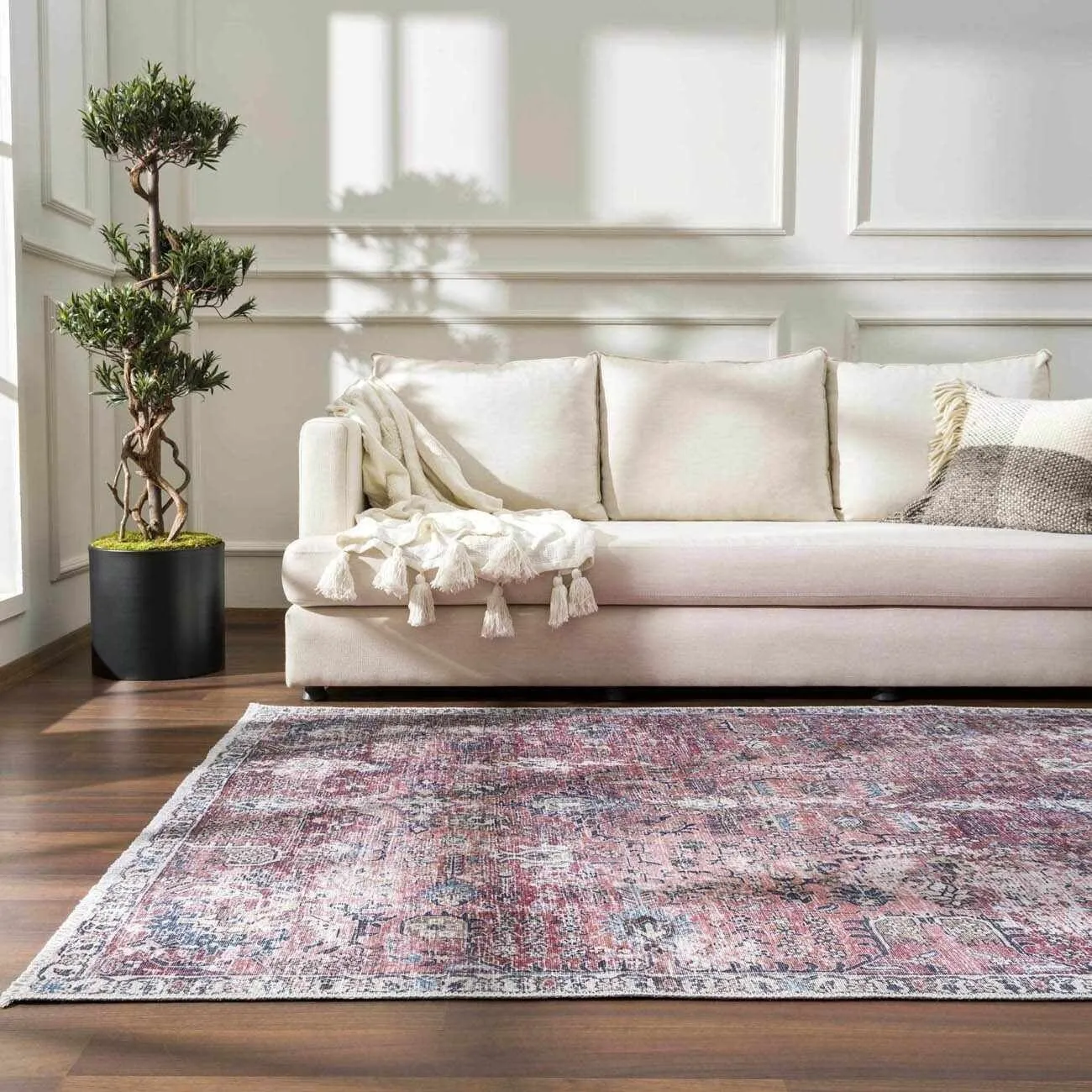 HOLI Area Rug