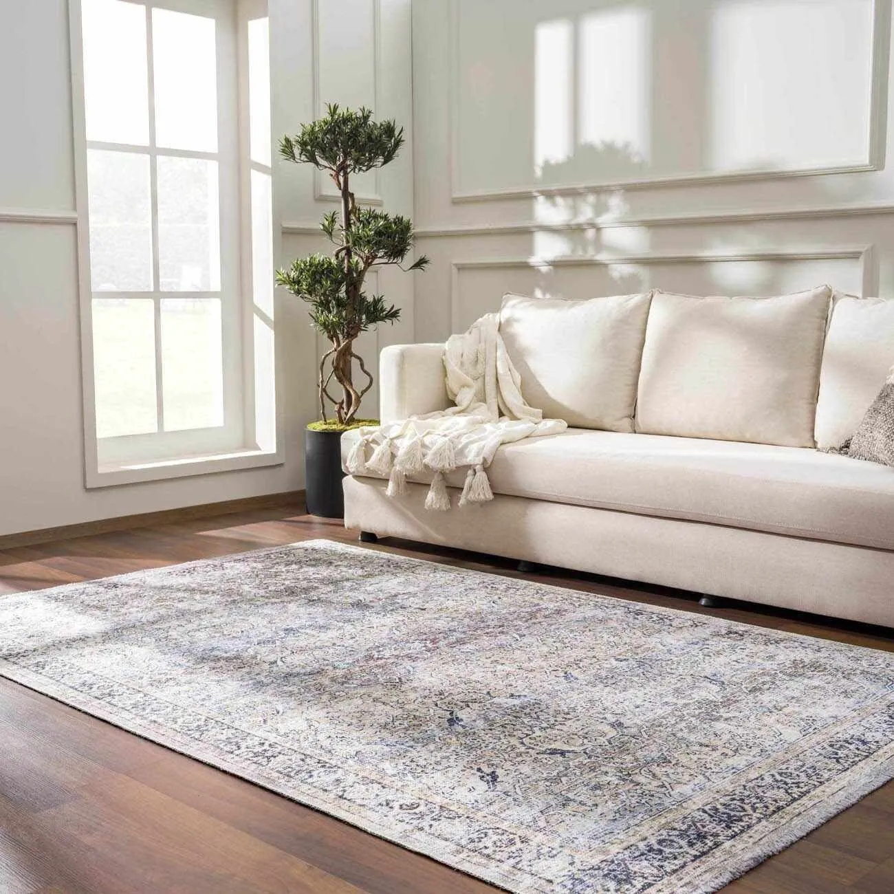 HOLI Area Rug