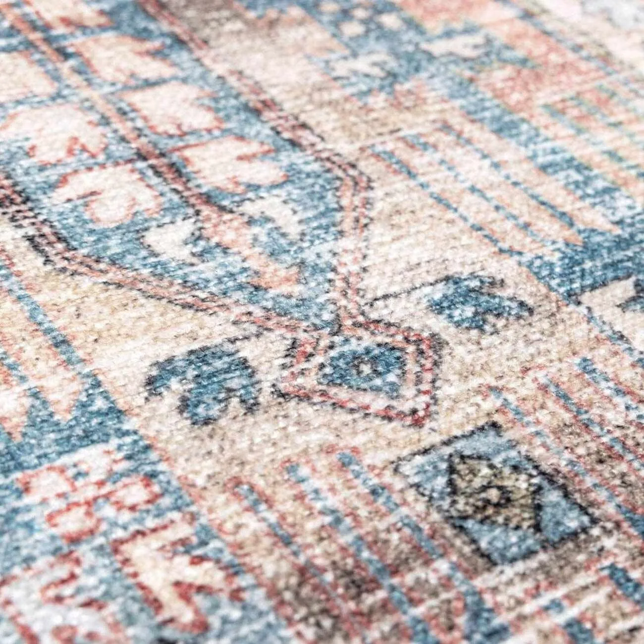 HOLI Area Rug
