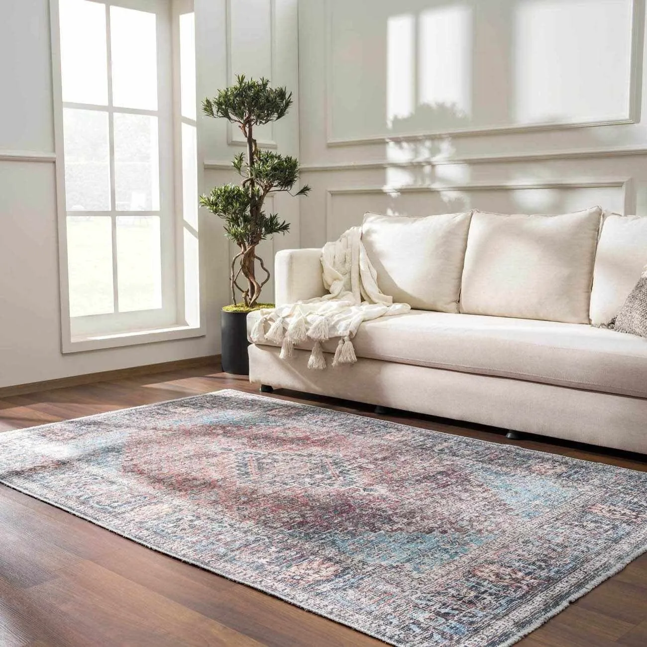 HOLI Area Rug