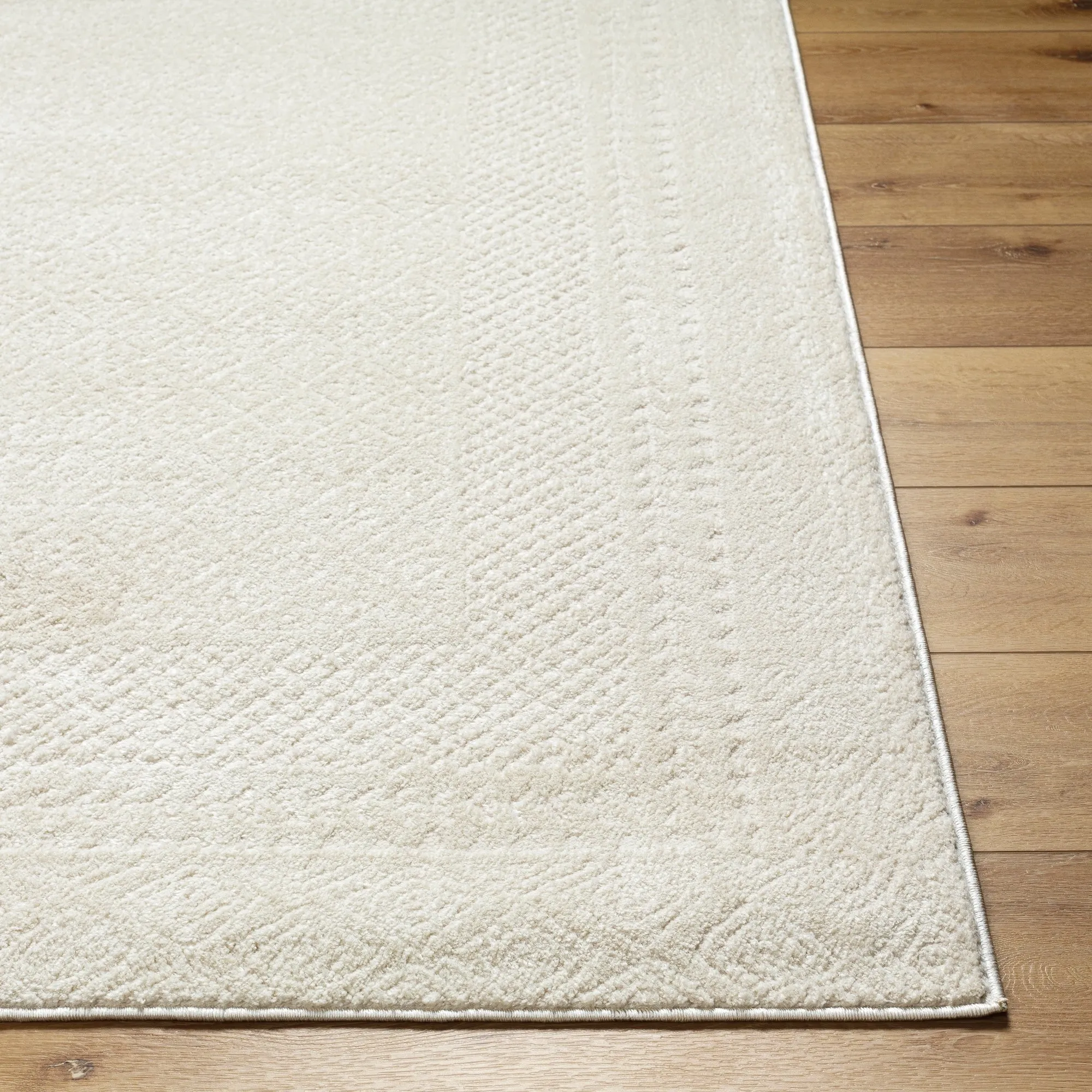 Livabliss Freud Bohemian Bordered Area Rug
