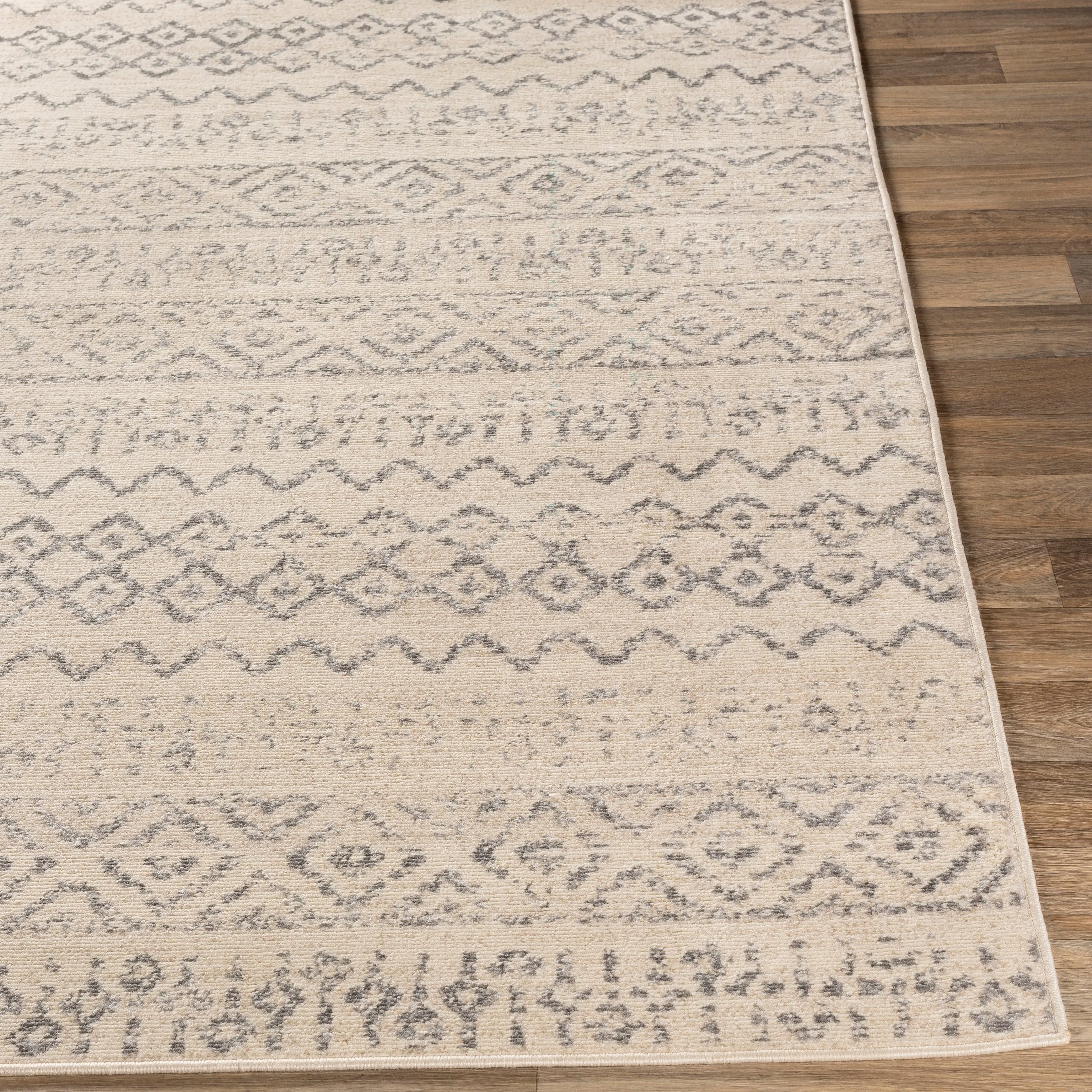 Livabliss Isidore Boho Transitional Area Rug