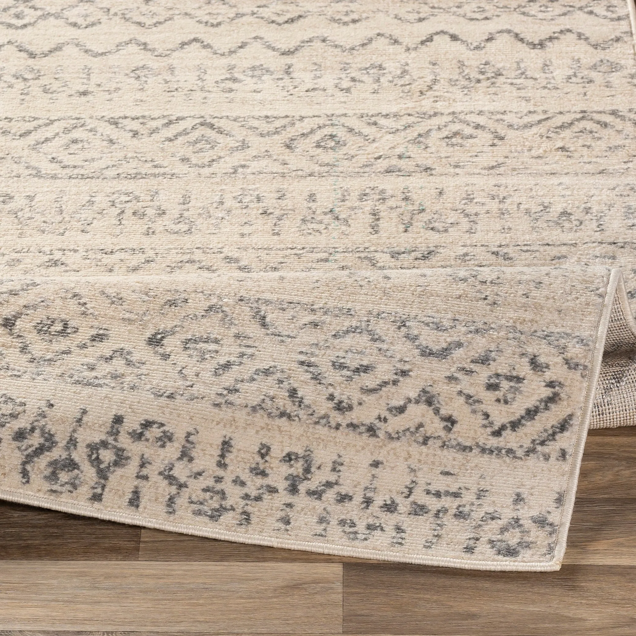 Livabliss Isidore Boho Transitional Area Rug