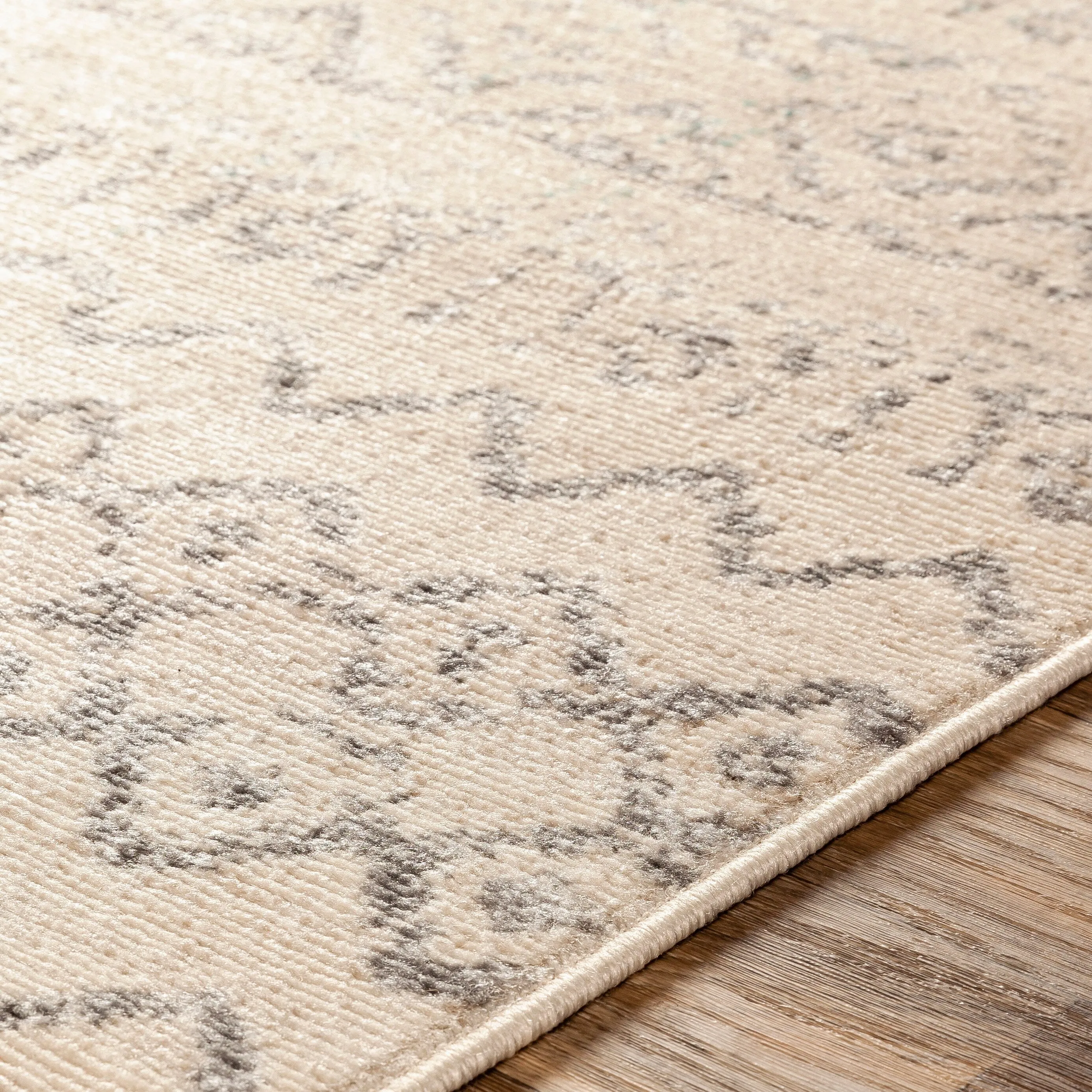 Livabliss Isidore Boho Transitional Area Rug