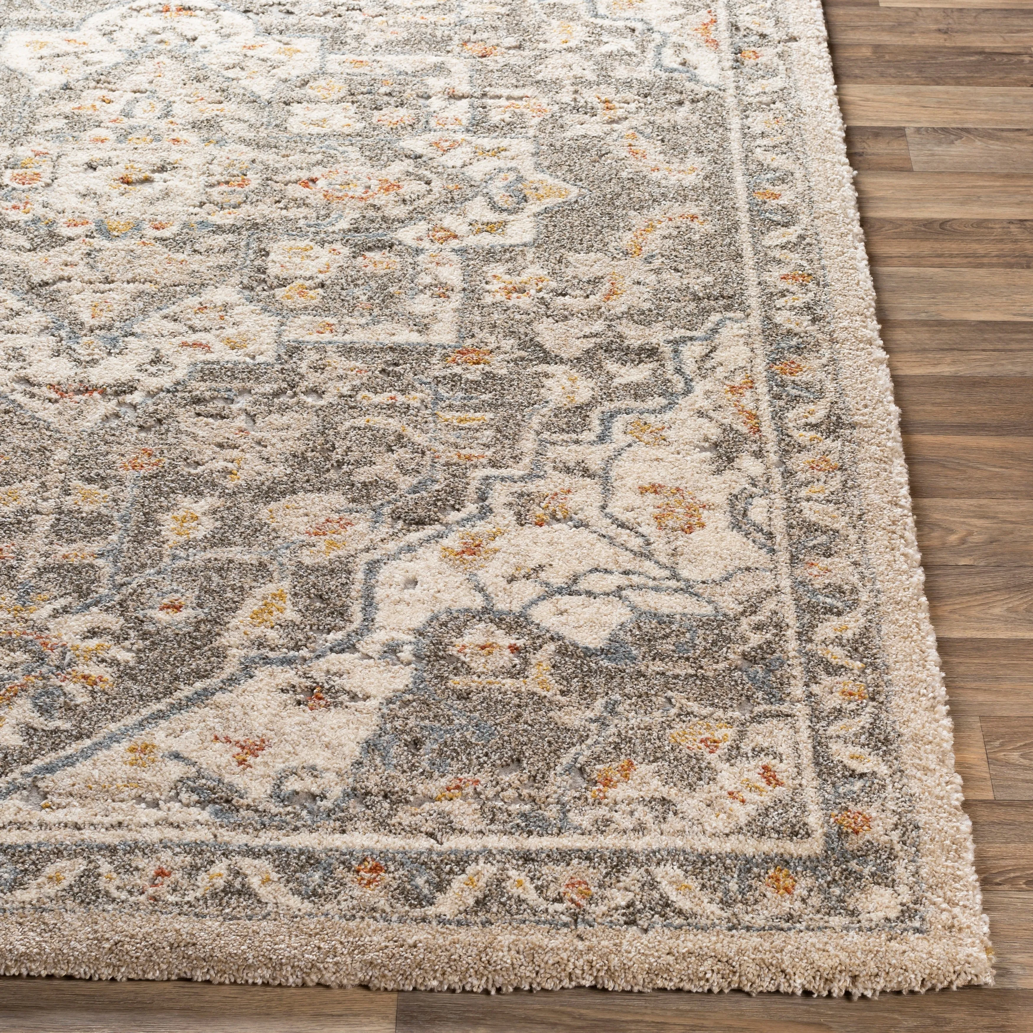 Livabliss Radda Plush Traditional Medallion Area Rug
