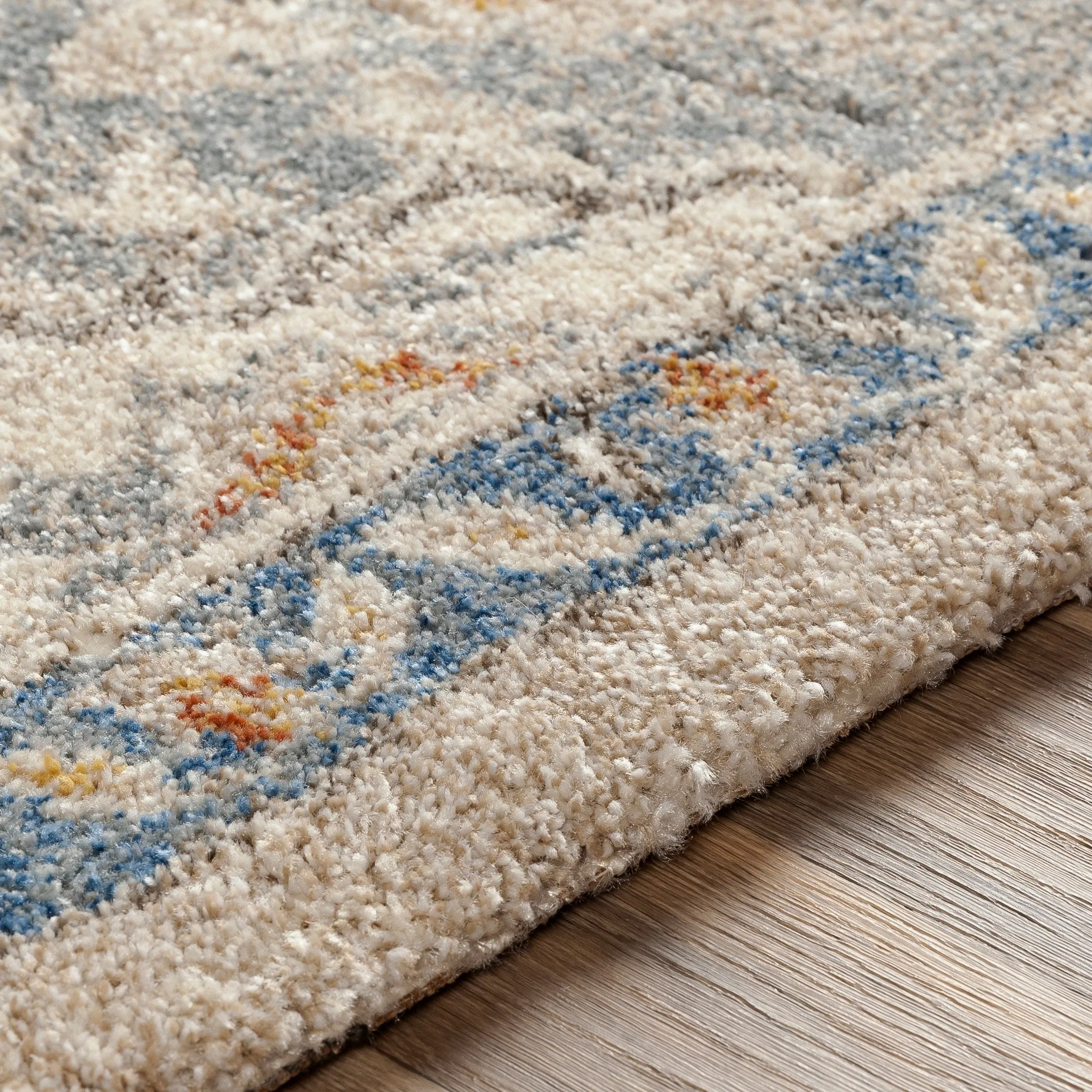Livabliss Radda Plush Traditional Medallion Area Rug