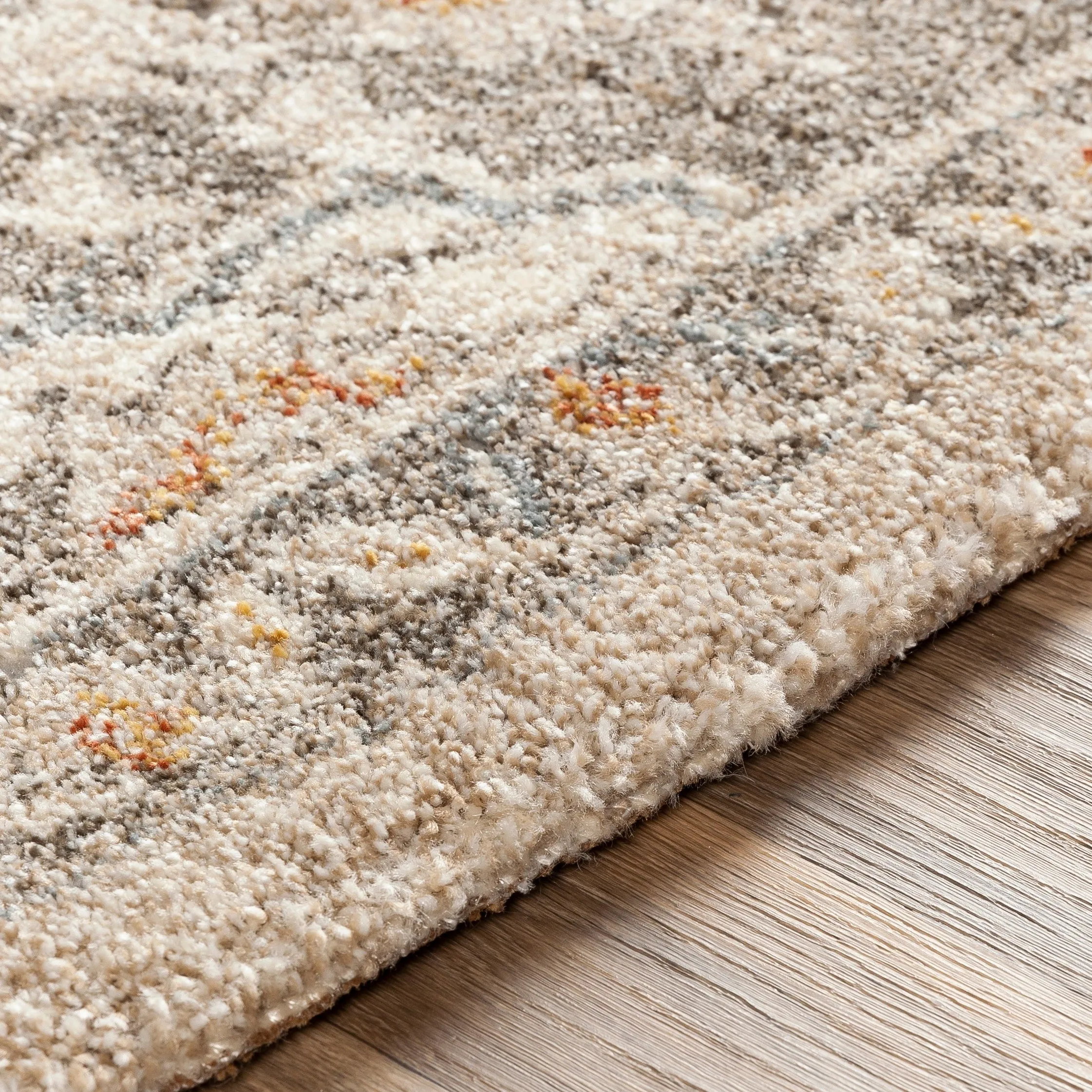 Livabliss Radda Plush Traditional Medallion Area Rug