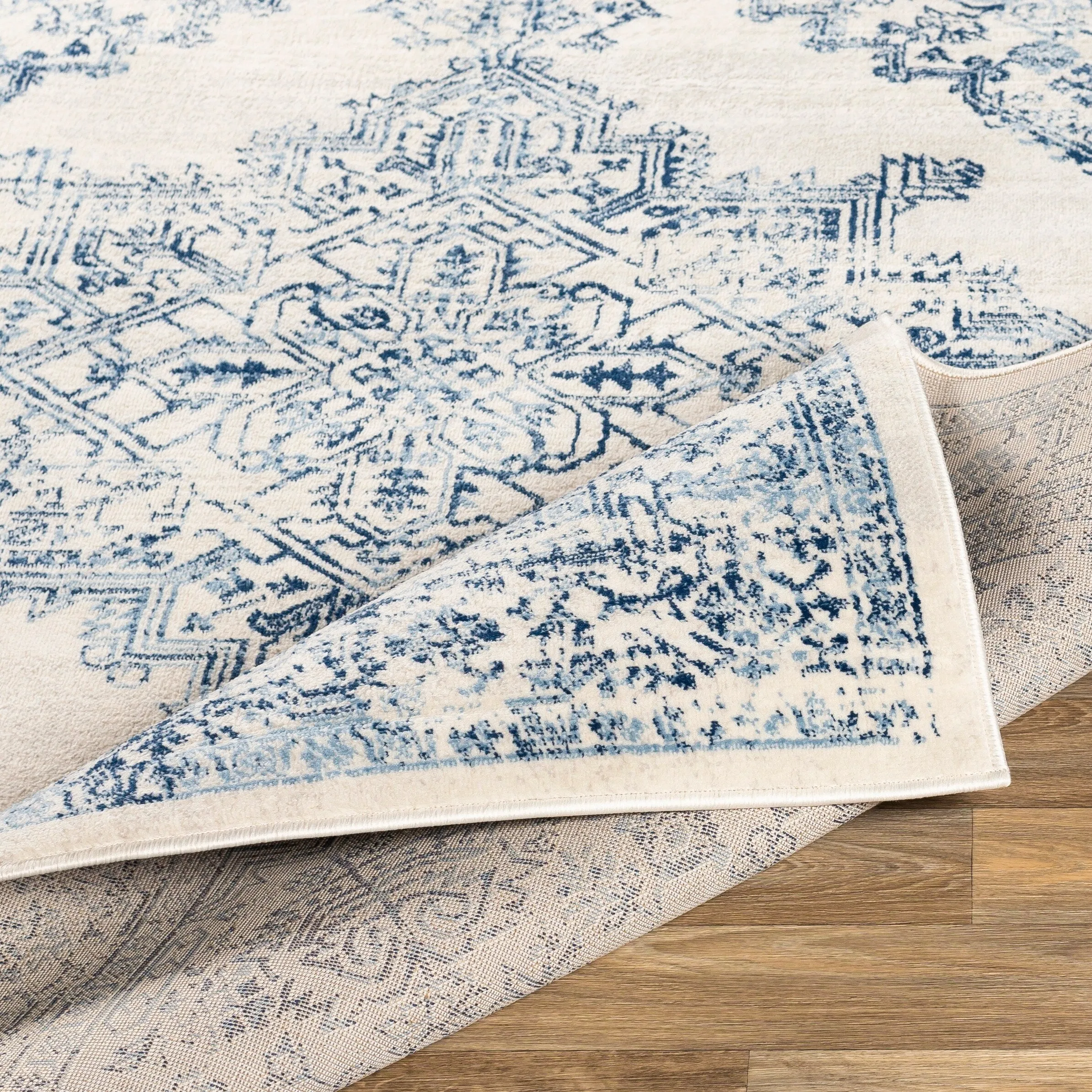 Livabliss Uranus Distressed Medallion Area Rug