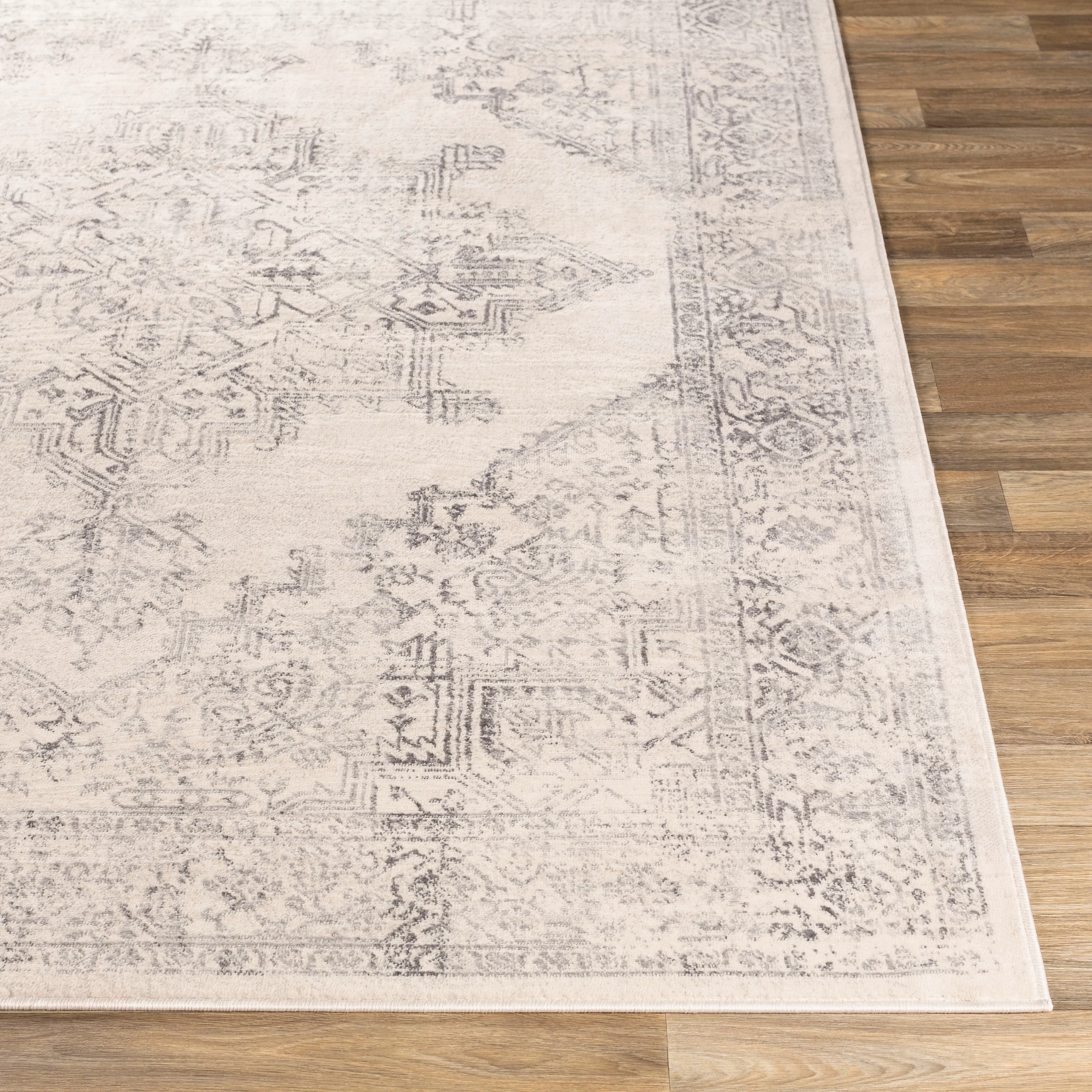 Livabliss Uranus Distressed Medallion Area Rug