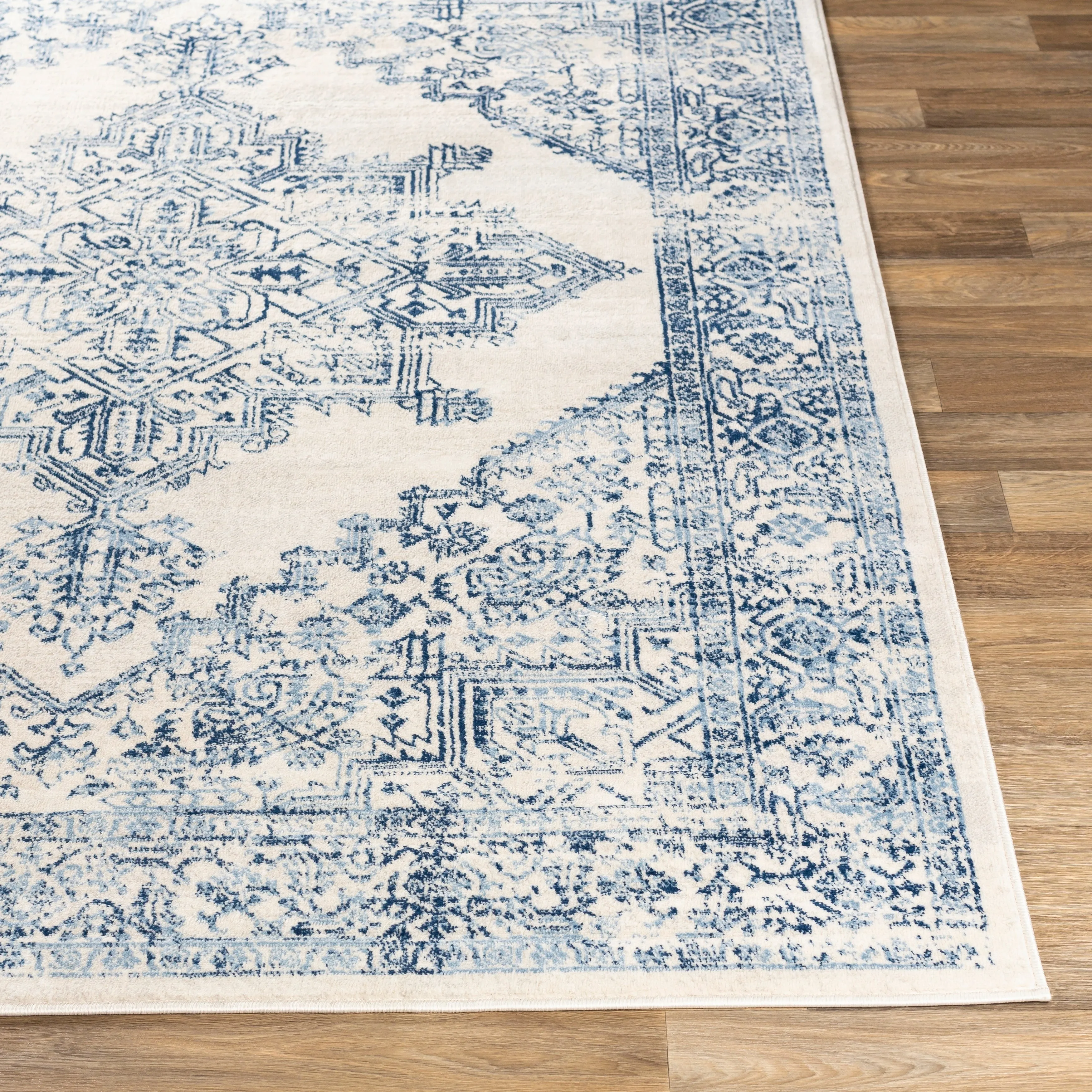 Livabliss Uranus Distressed Medallion Area Rug