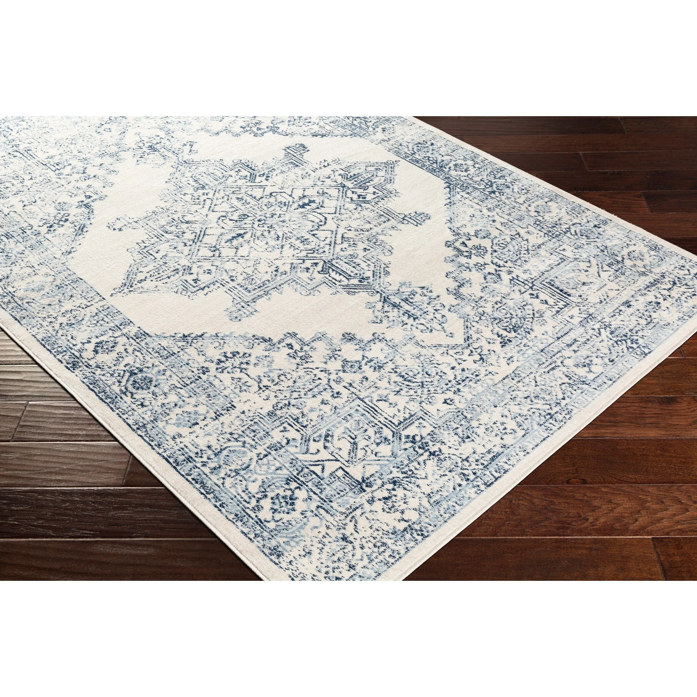 Livabliss Uranus Distressed Medallion Area Rug