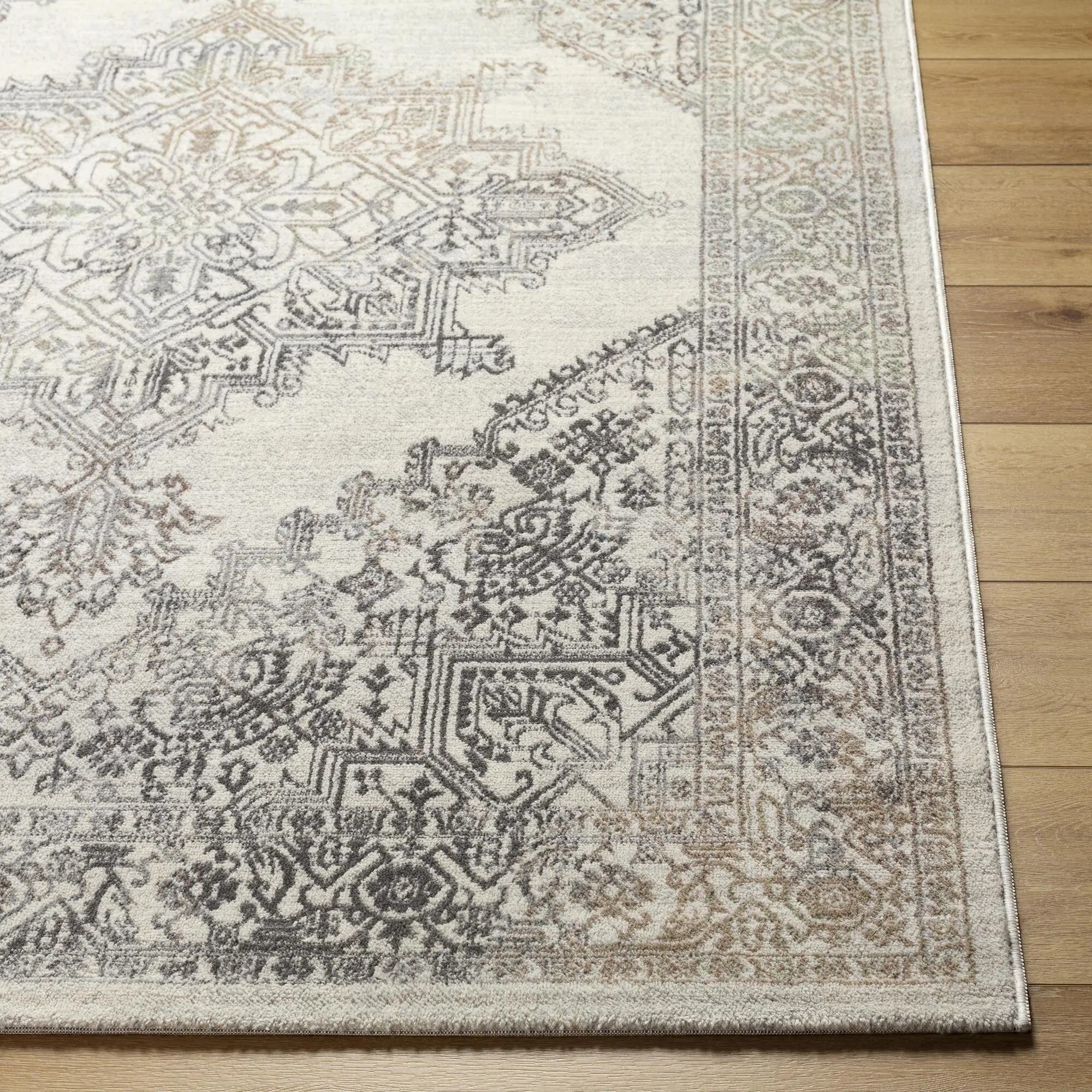Livabliss Uranus Distressed Medallion Area Rug