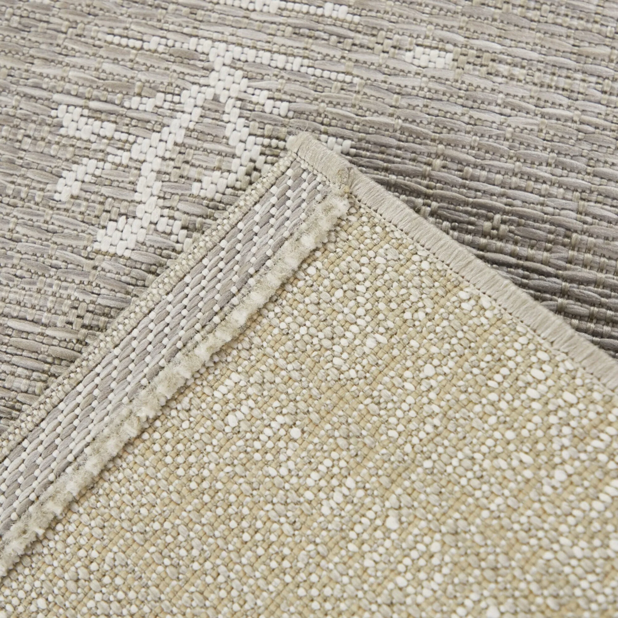 Lucilius Botanical Stripe Indoor/Outdoor Area Rug